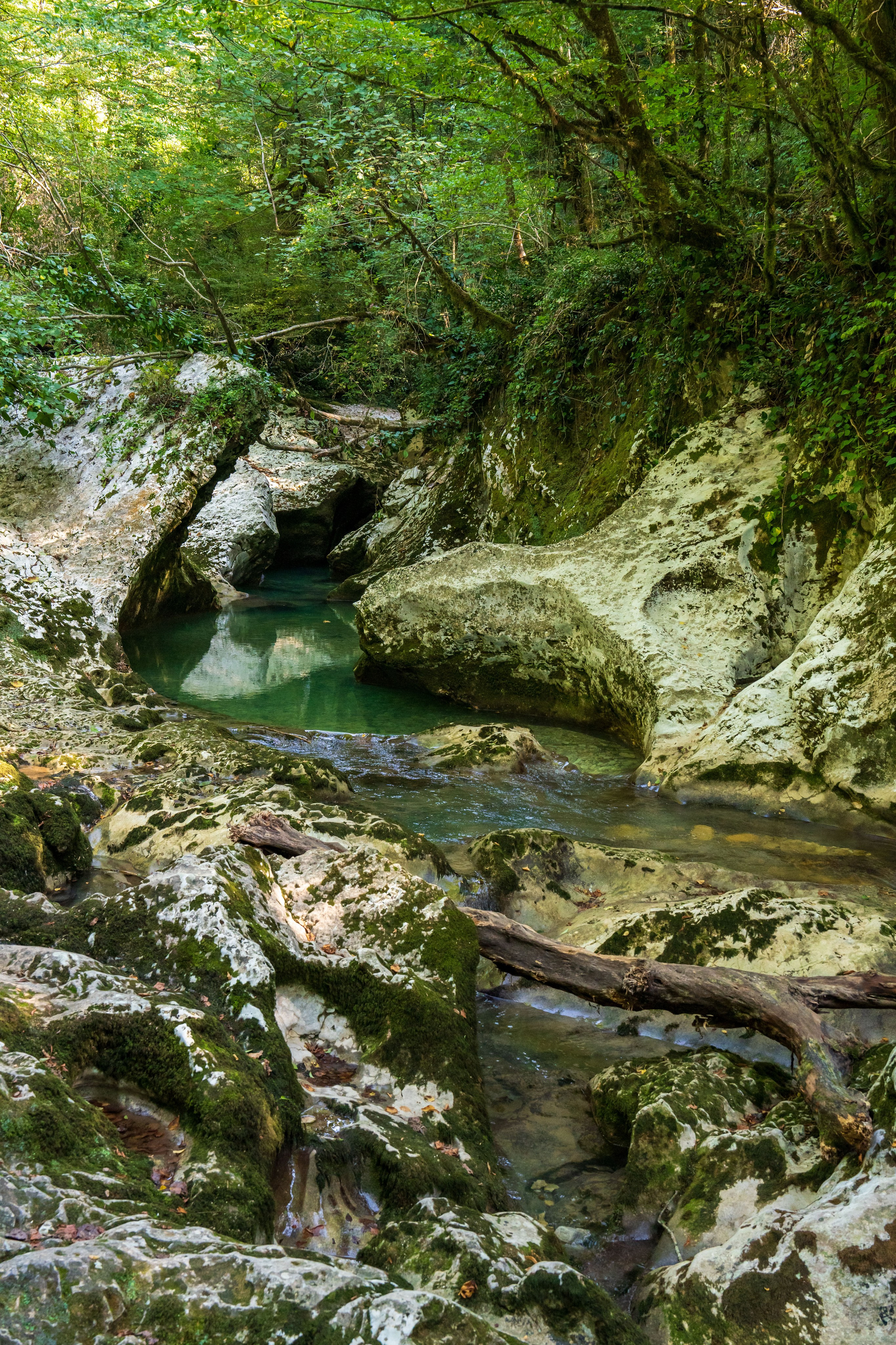 Mice мероприятие — тур по Абхазии. Репортажный фотограф в Красной Поляне и Сочи Павлюченко Екатерина