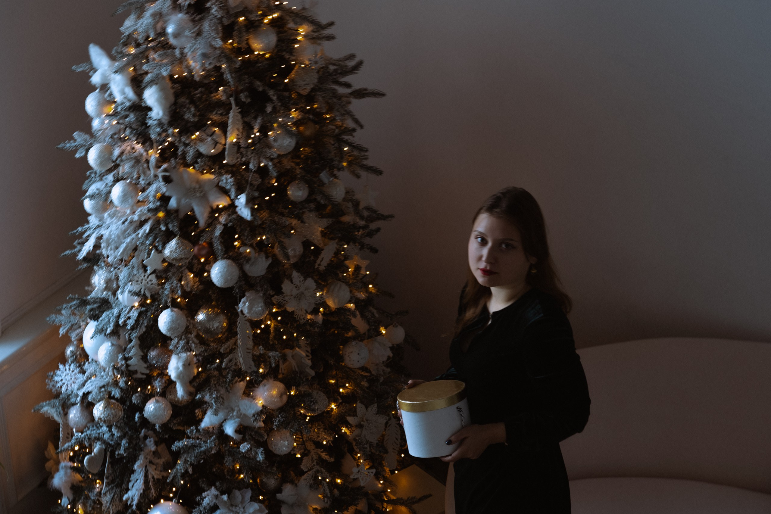 Новогодний стиль. Профессиональный фотограф, Санкт-Петербург — Виктория Богомолова