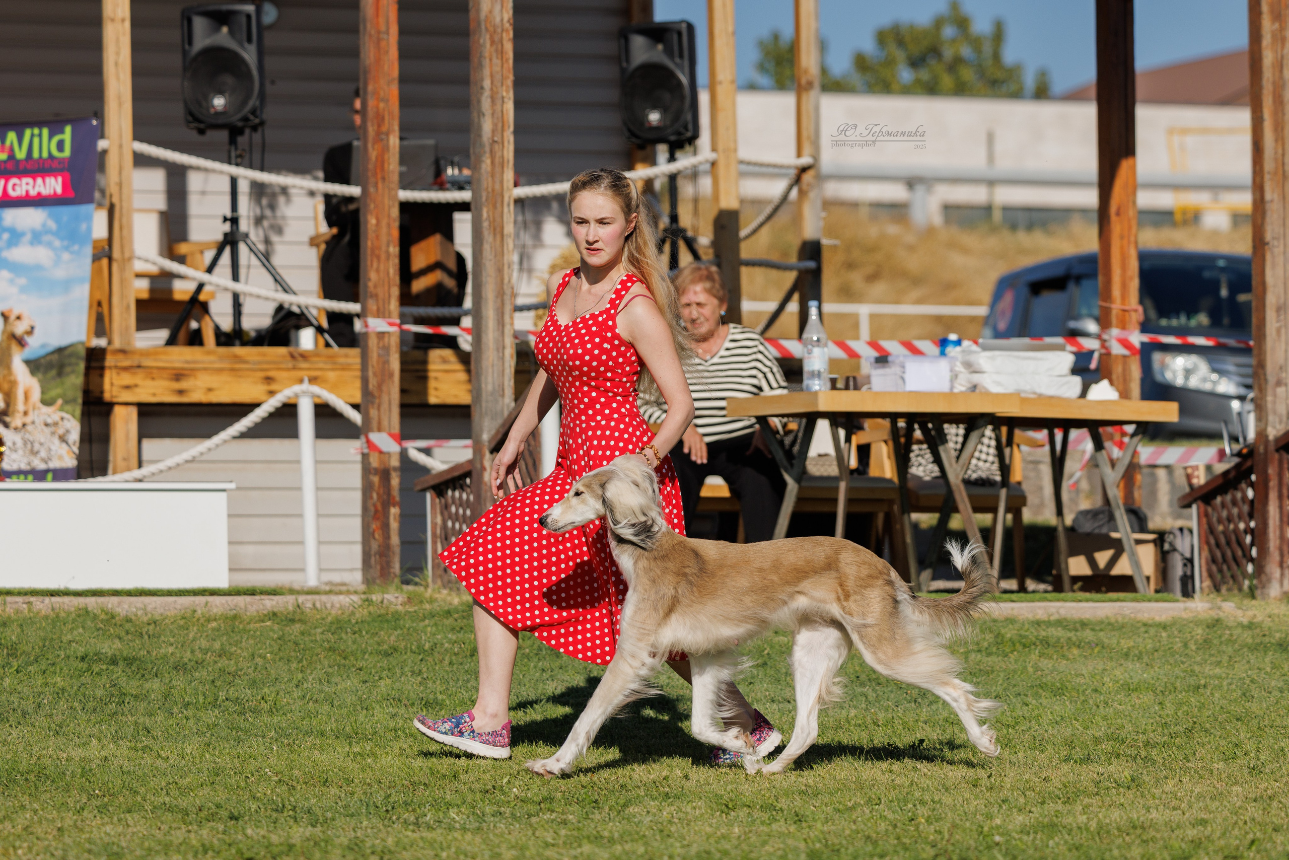 Ереван 14-16.10.2025. Фотограф-анималист Юлия Германика