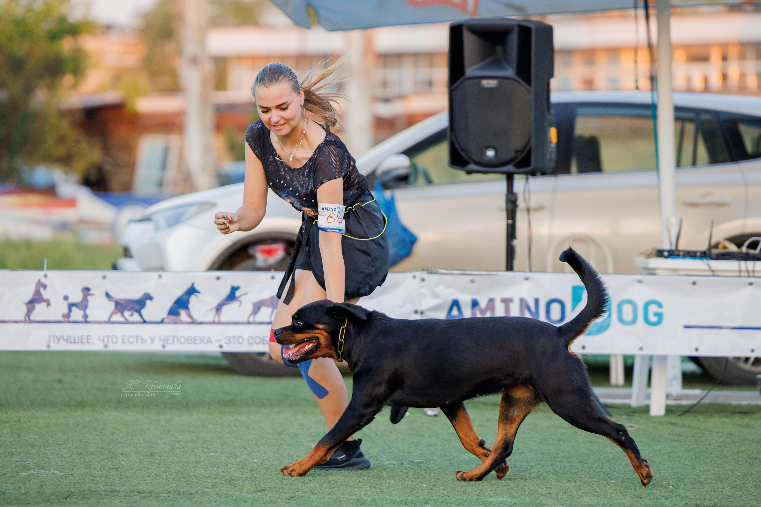 Анапа ротвейлеры 14-15.09.2024. Фотограф-анималист Юлия Германика