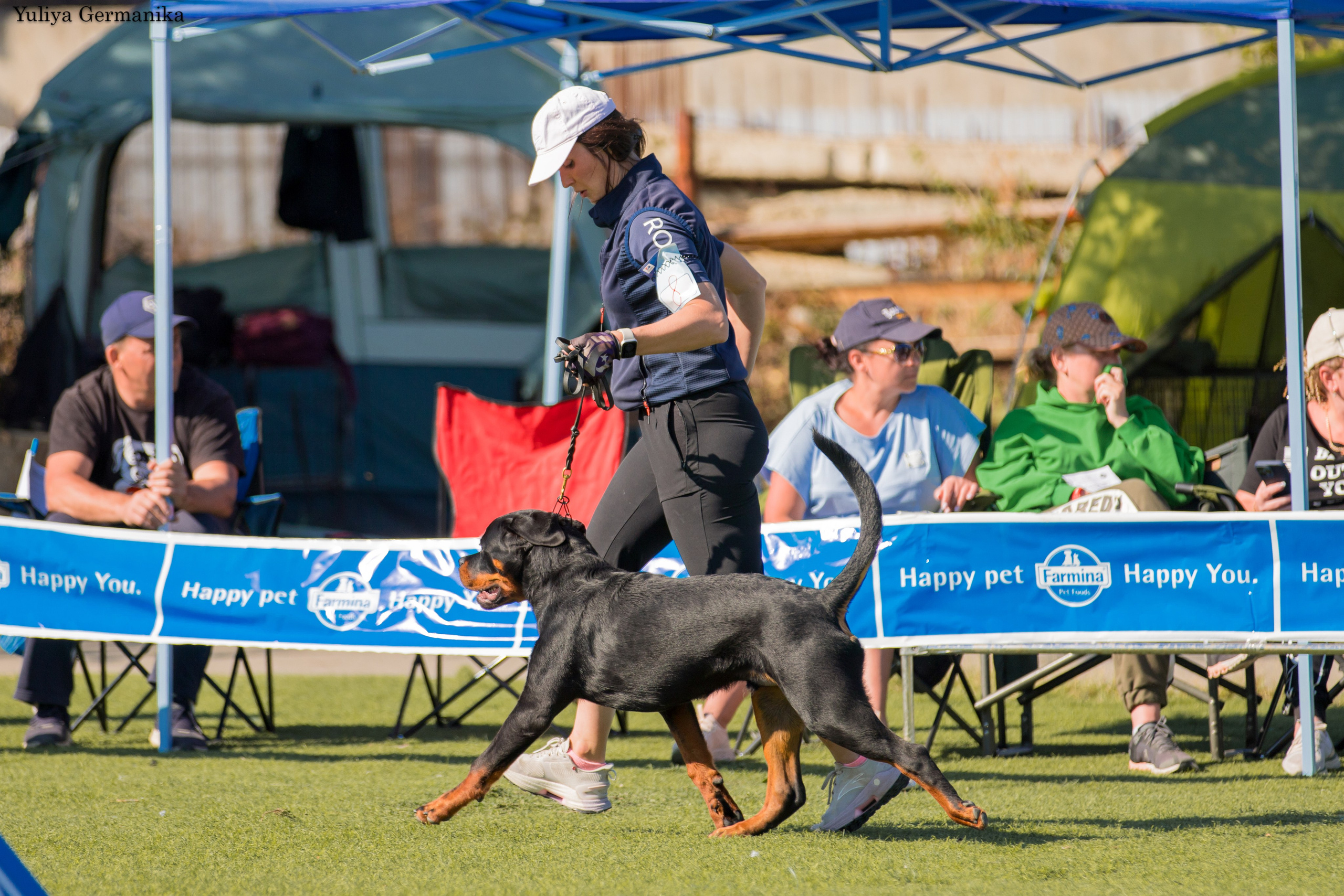 Анапа 16-17.09.2023 моно ротвейлеров. Фотограф-анималист Юлия Германика
