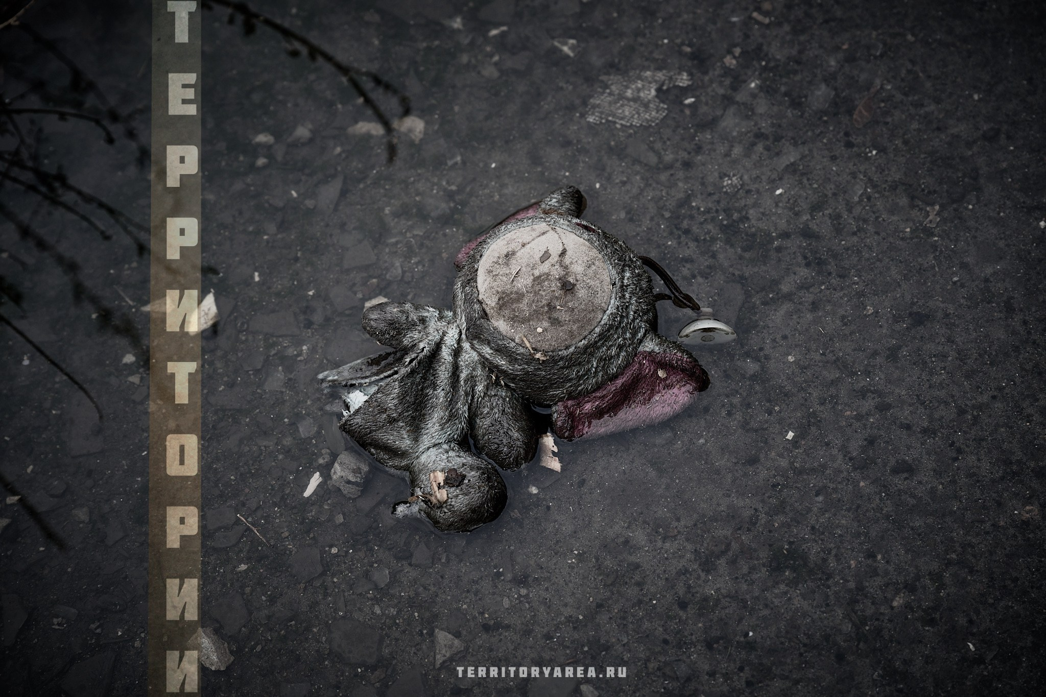 Открытки фотопроекта «Территории». Фотопроект «Территории»