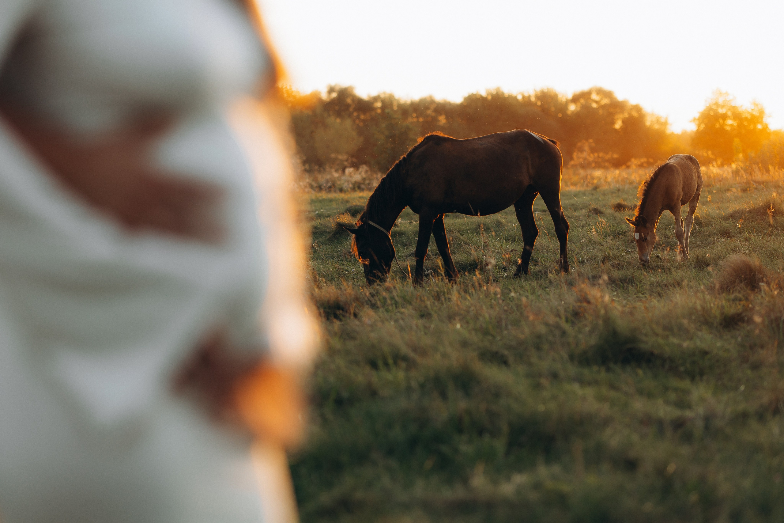 Нина и Артём. Ph. Marina Reshetova