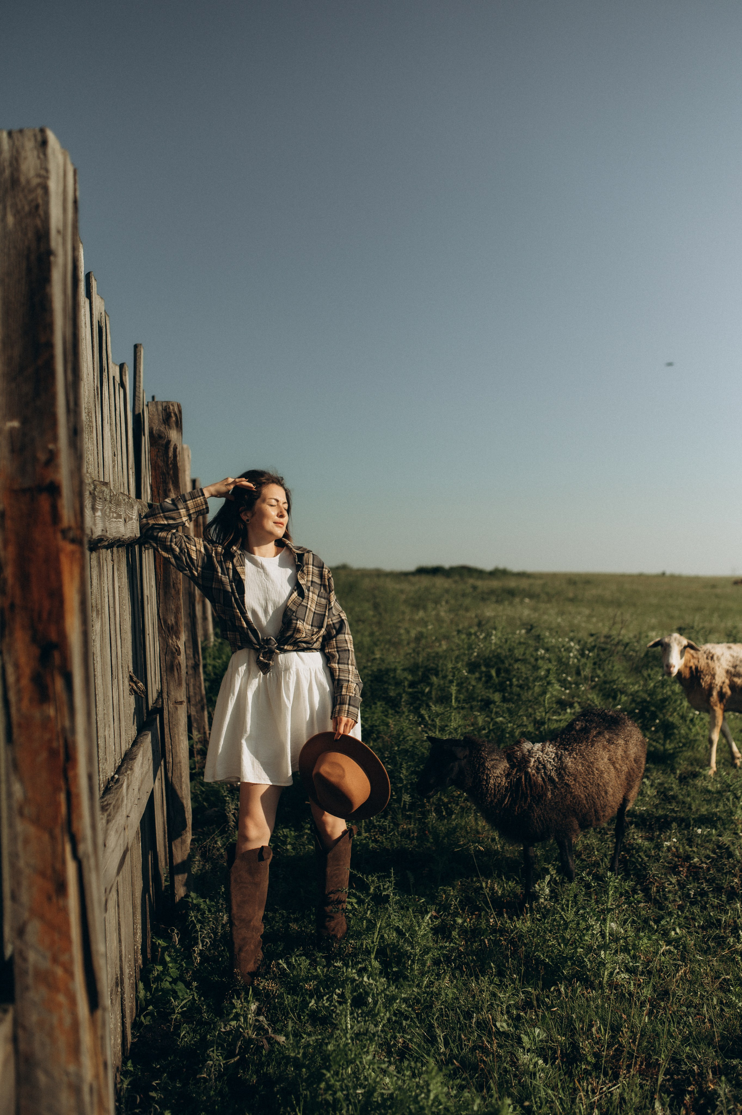 Фотосессия с овечками. Фотограф Быстрова Дарья г. Москва
