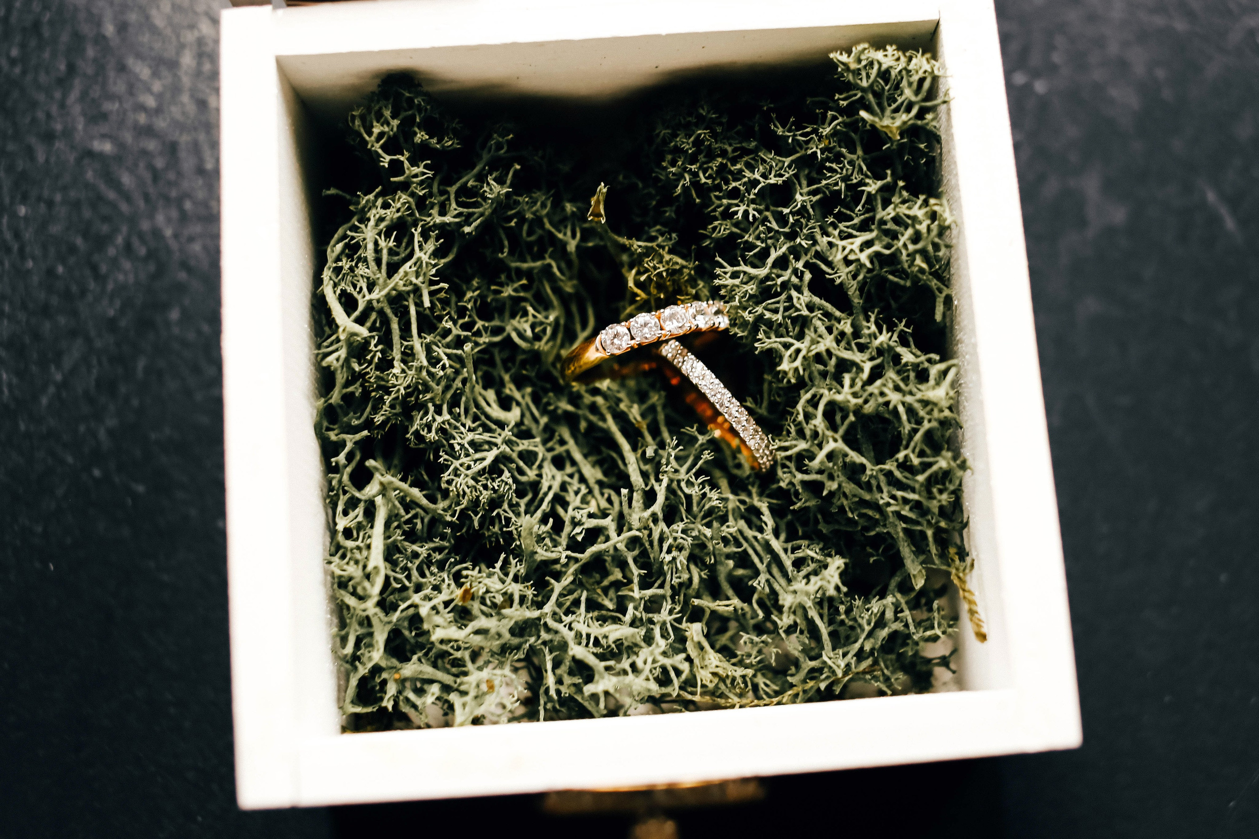 Свадебный банкет Алисы и Вадима. Фотограф в Челябинске Ополихина Анна