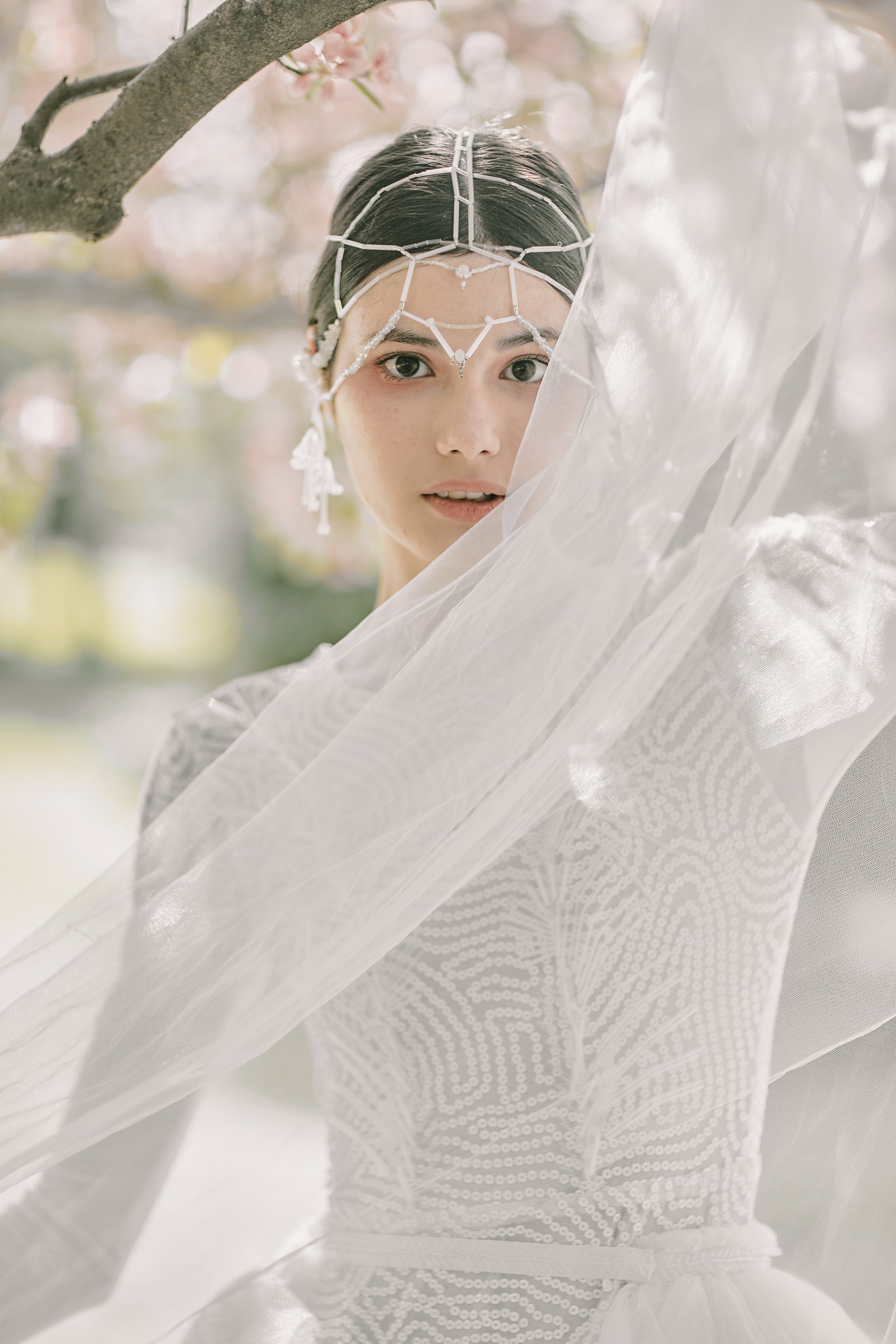 Blooming April. Anna Atayan Photographer