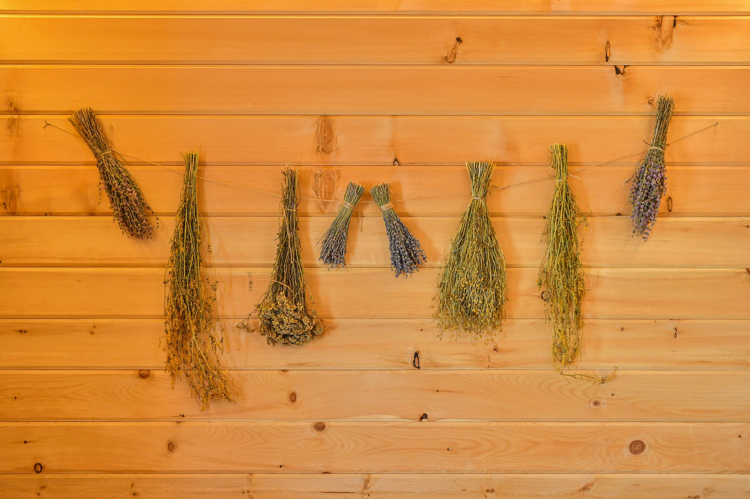 БАЗА ОТДЫХА. Фотограф недвижимости в Красноярске Анна Шафарина