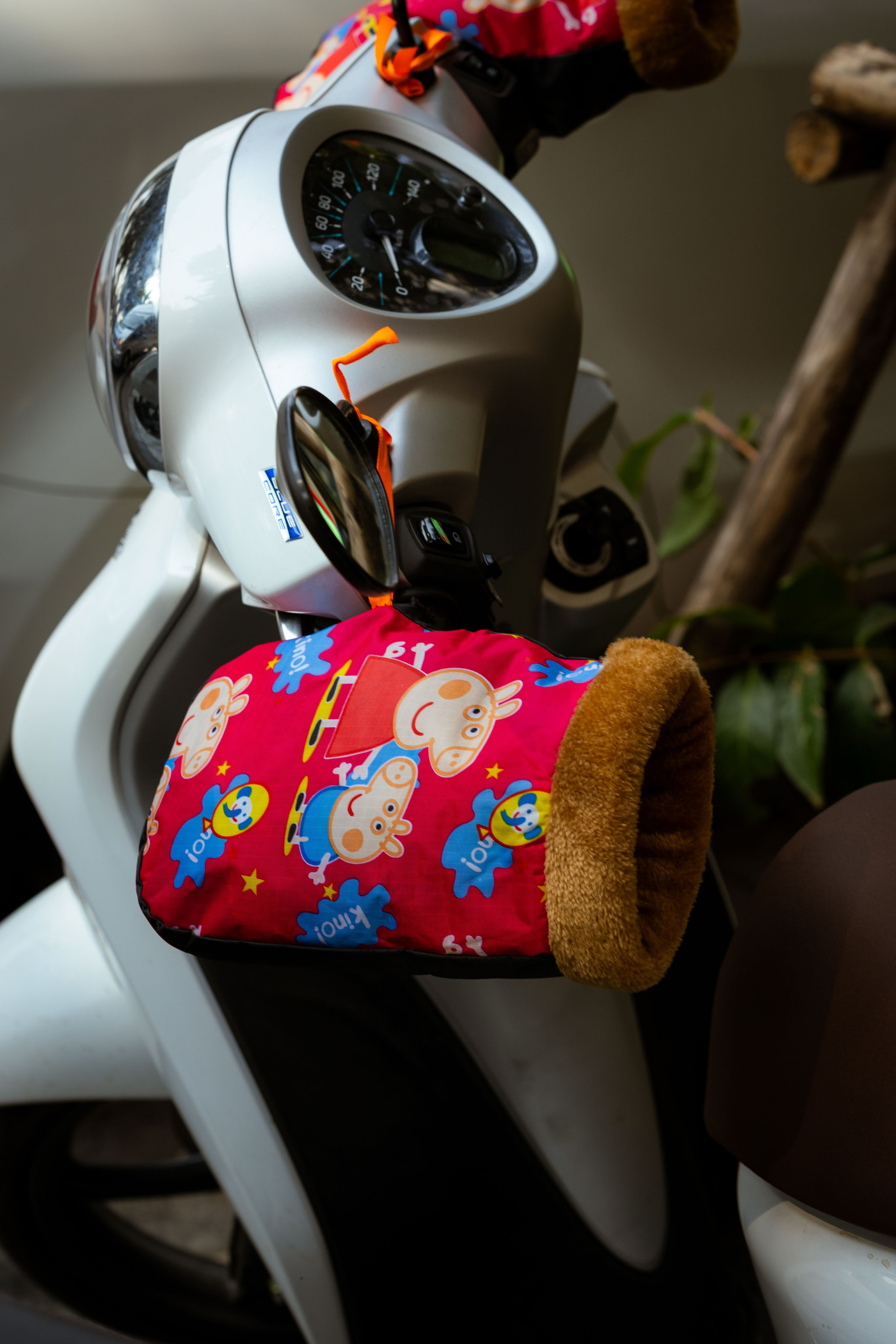 Вьетнам (зима 2025-2026). Фотограф Виноградов Константин