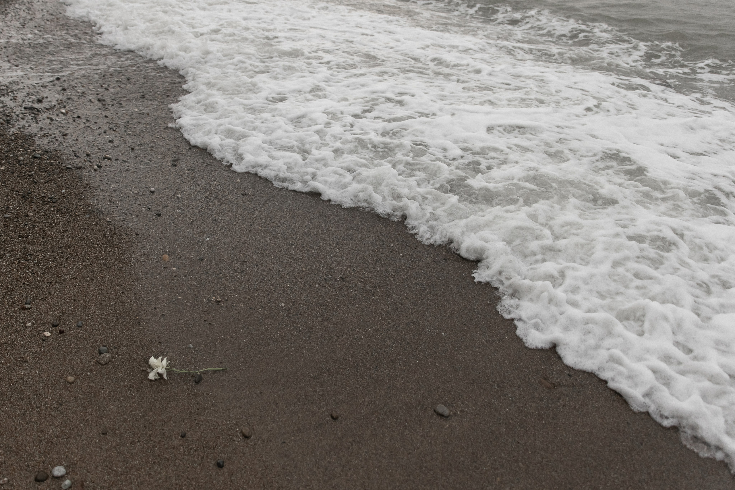 Влюбиться в Абхазии. Свадебный  фотограф Юлия Гривцова Москва