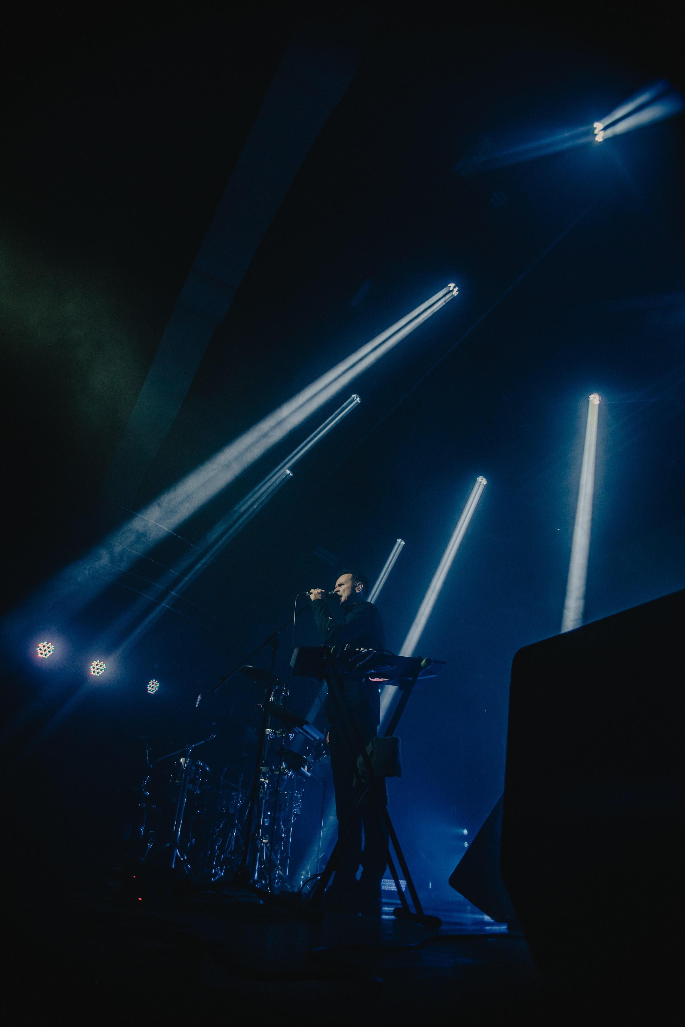 Дельфин | Gaudi. Контент фотограф Илья Урс