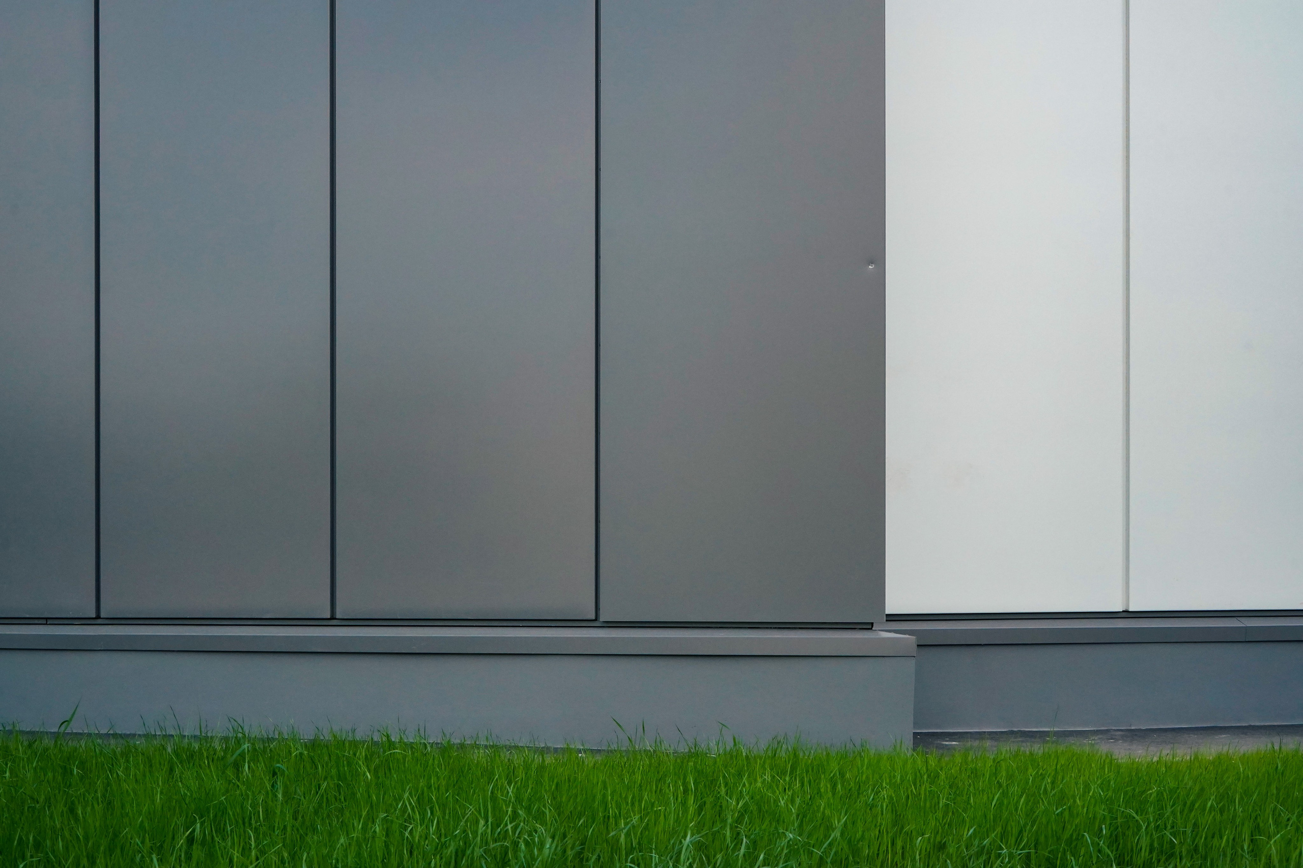 Территория спорта. Светлана Гопанюк. Портретный фотограф. Санкт-Петербург. СПб