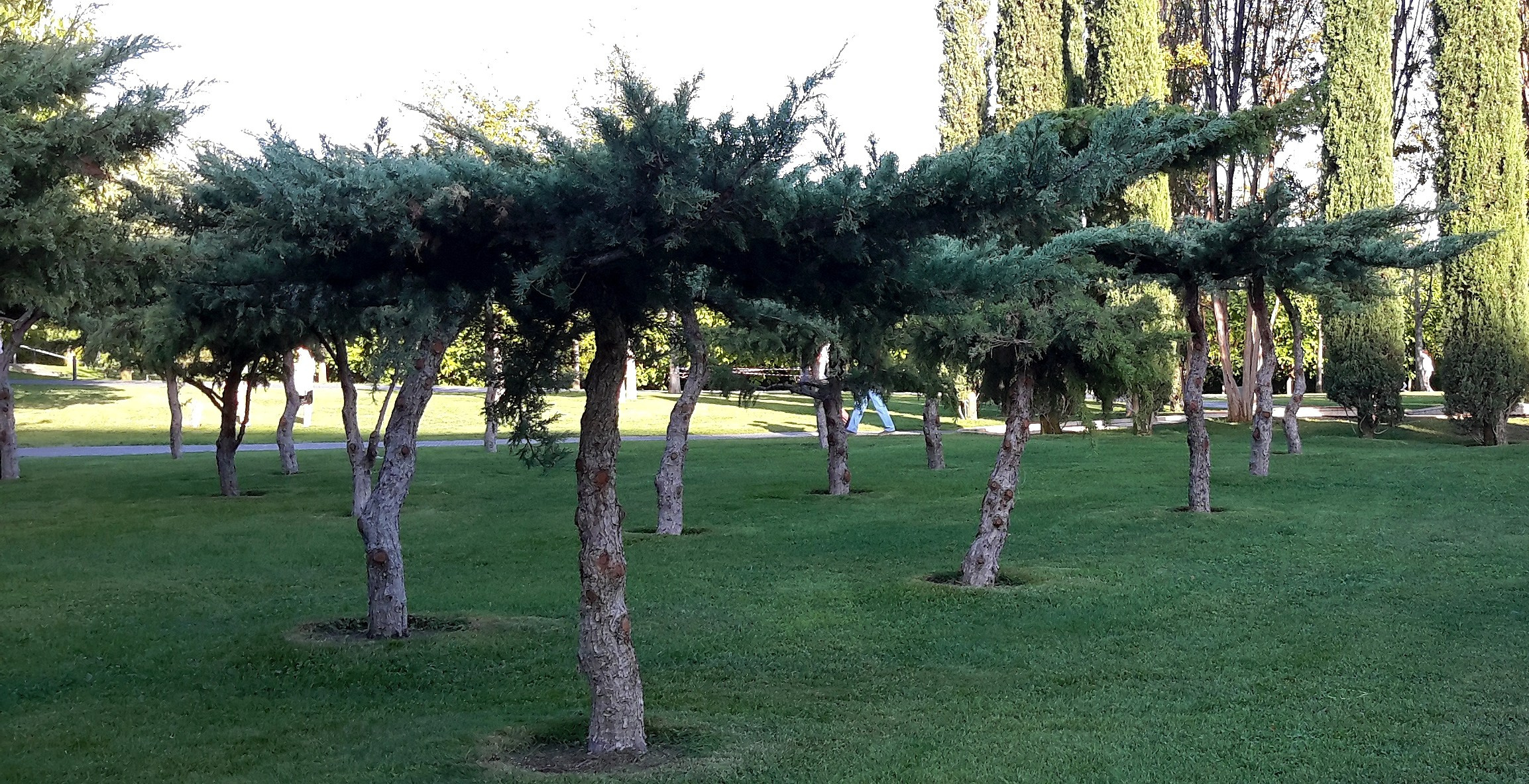 Парк Краснодар (парк Галицкого). Фотограф Славянск на Кубани