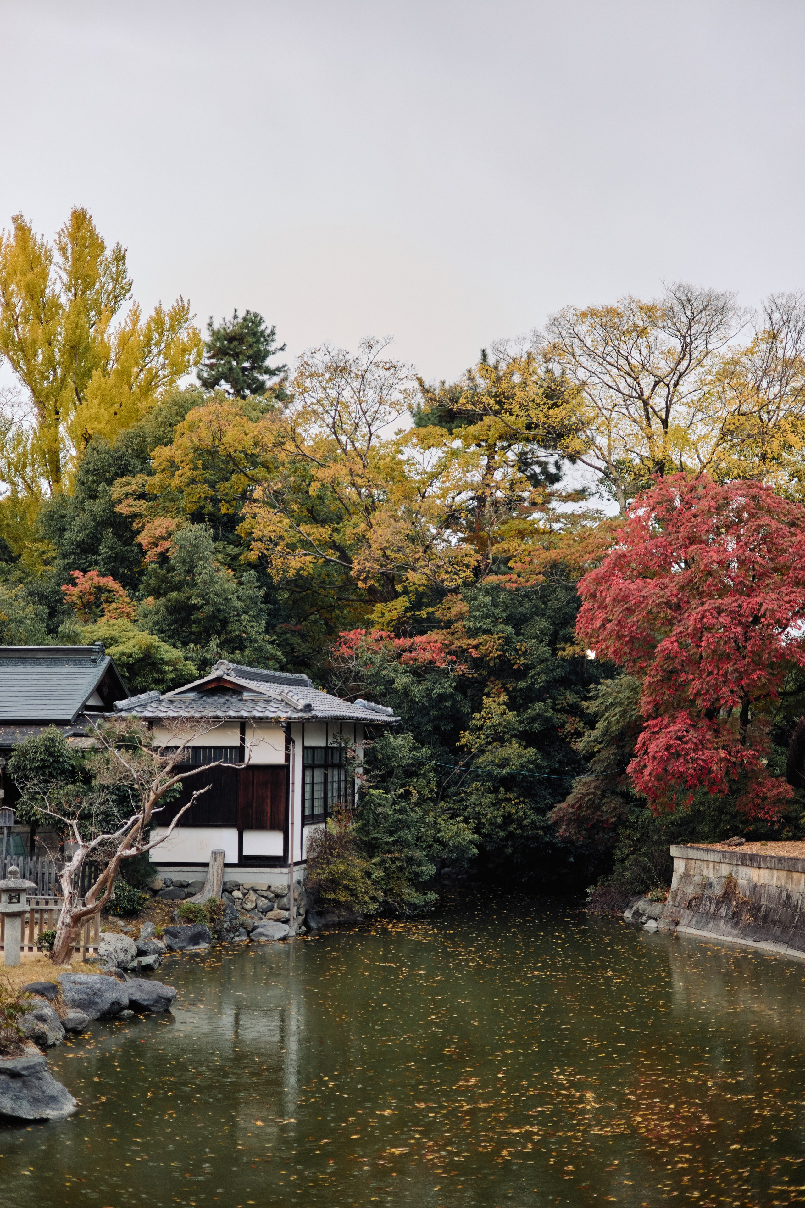 Япония. Профессиональный Фотограф во Владимире, в Москве и в Суздале — Полина Романычева
