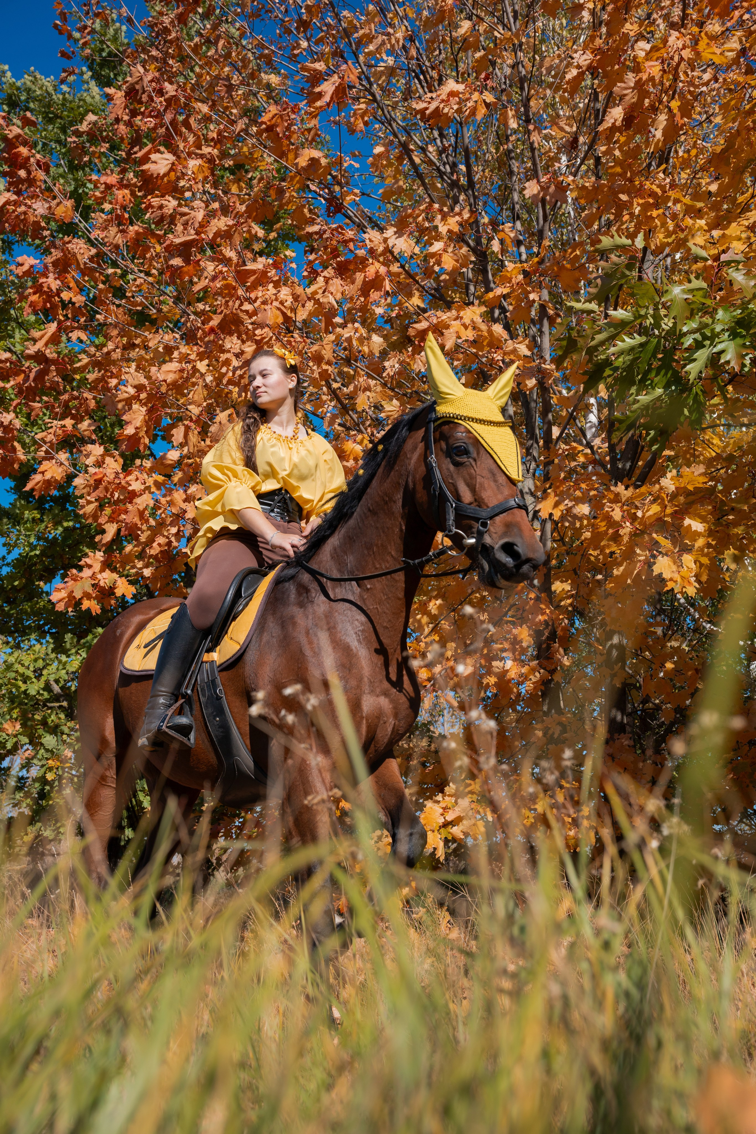 Фотосессия с лошадьми