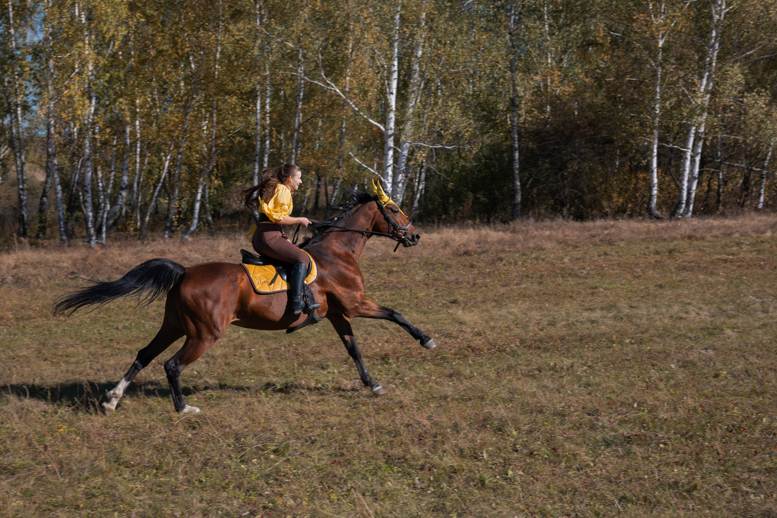 Фотосессия с лошадьми