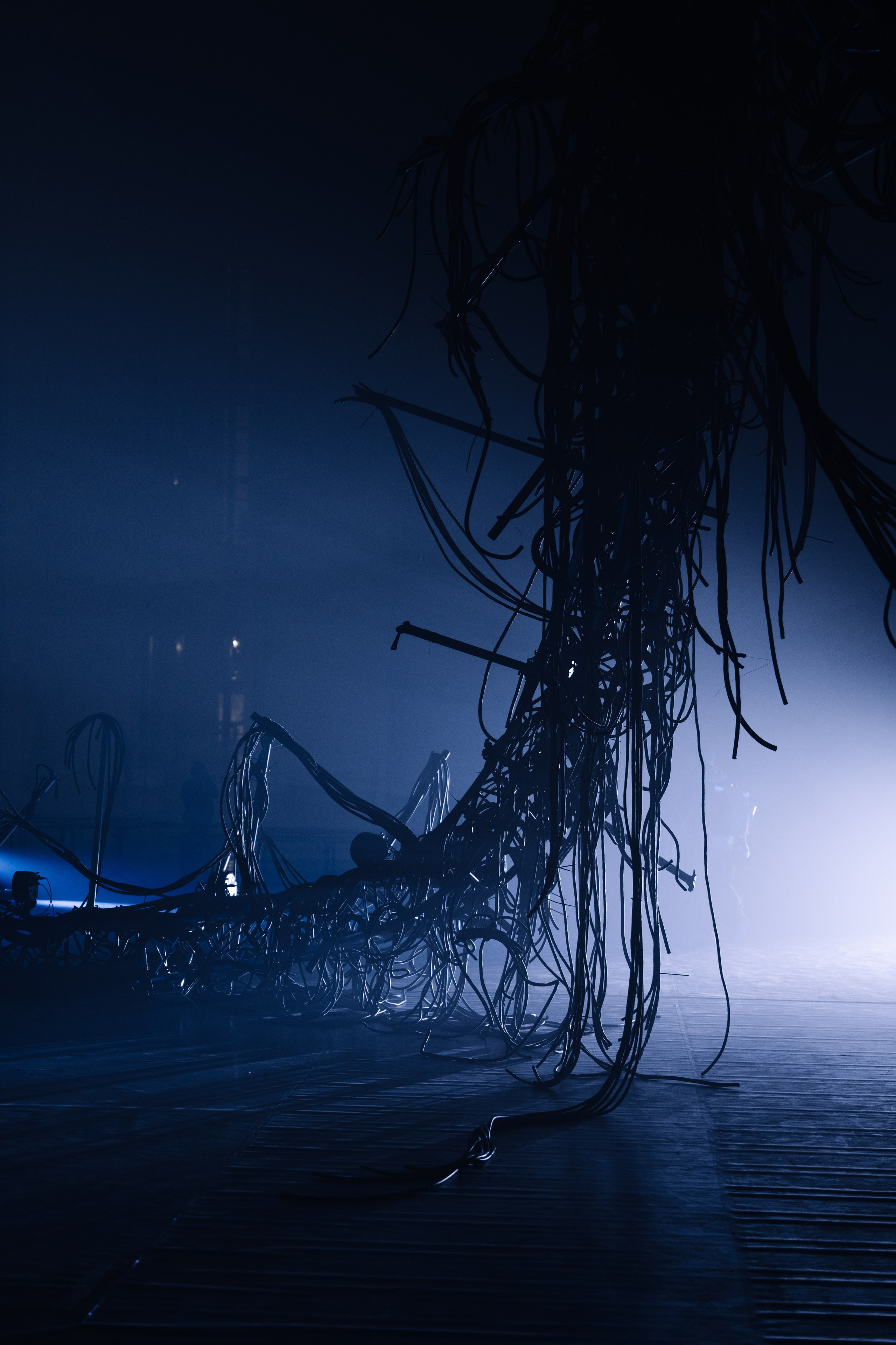 PANTERRA, CHRONOMORPH 001. @tomrus: Рустам Шагиморданов — фотограф