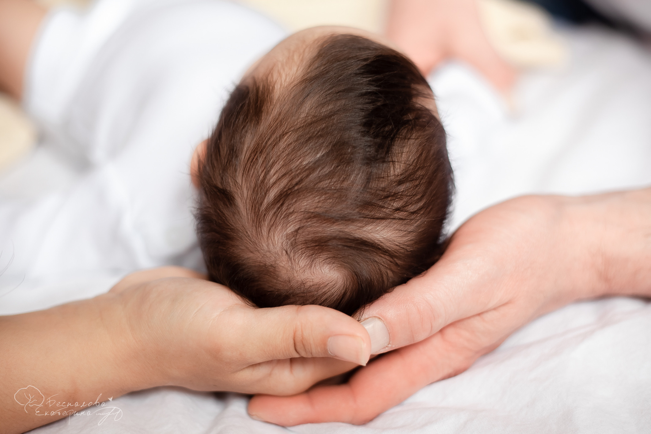 Семейные Natural Simple. Фотограф новорожденных в г. Павлово Беспалова Екатерина