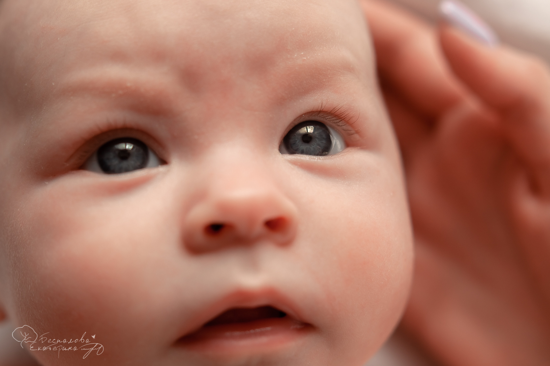 Семейные Natural Simple. Фотограф новорожденных в г. Павлово Беспалова Екатерина