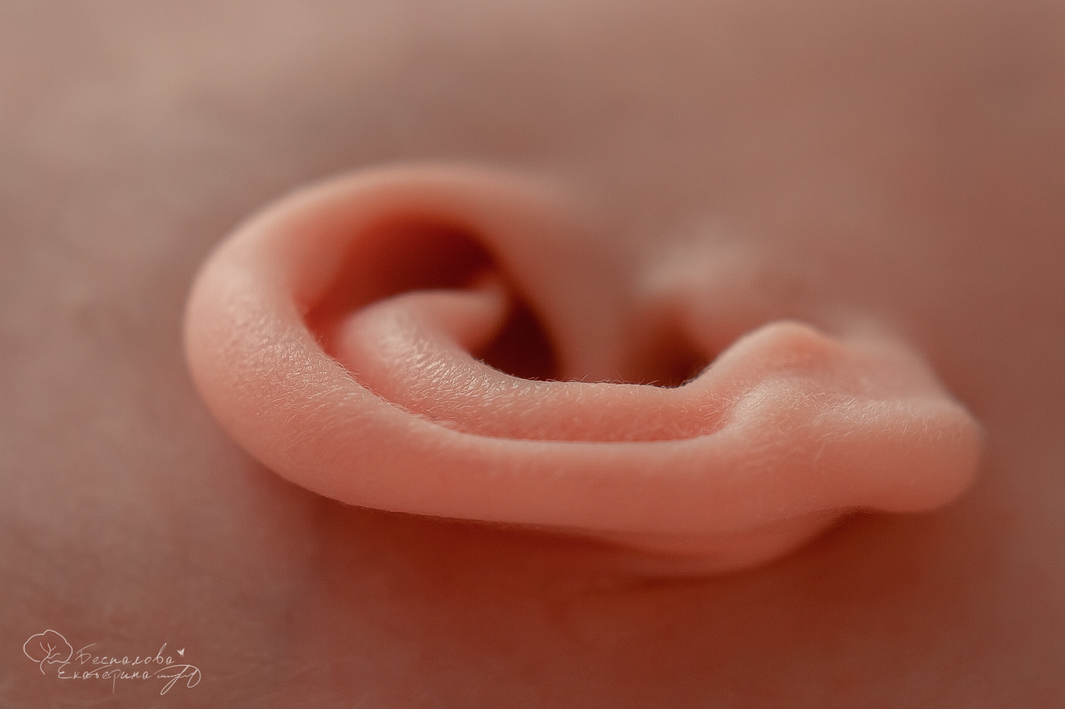 Семейные Natural Simple. Фотограф новорожденных в г. Павлово Беспалова Екатерина