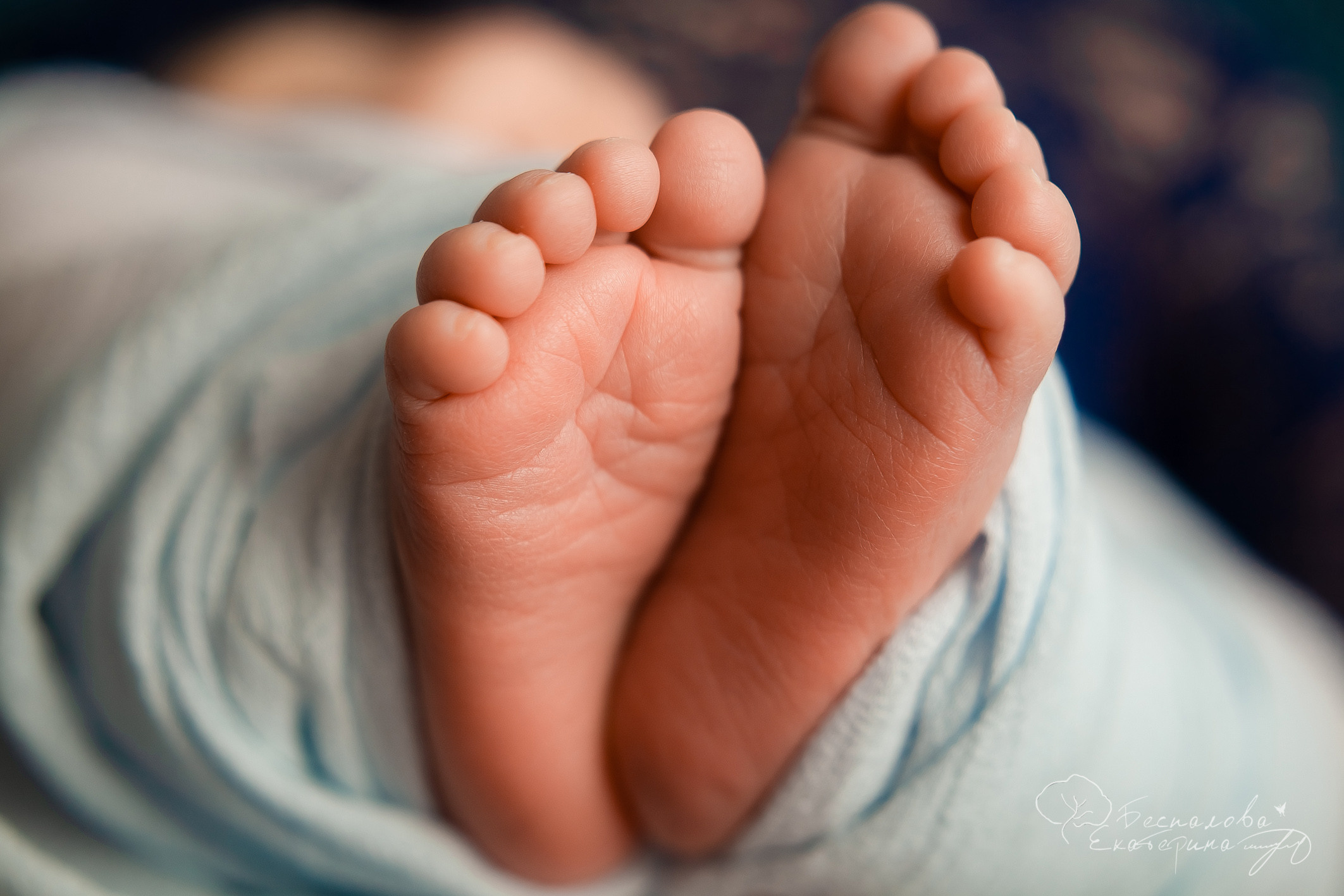 Фотосессия Newborn. Фотограф новорожденных в г. Павлово Беспалова Екатерина