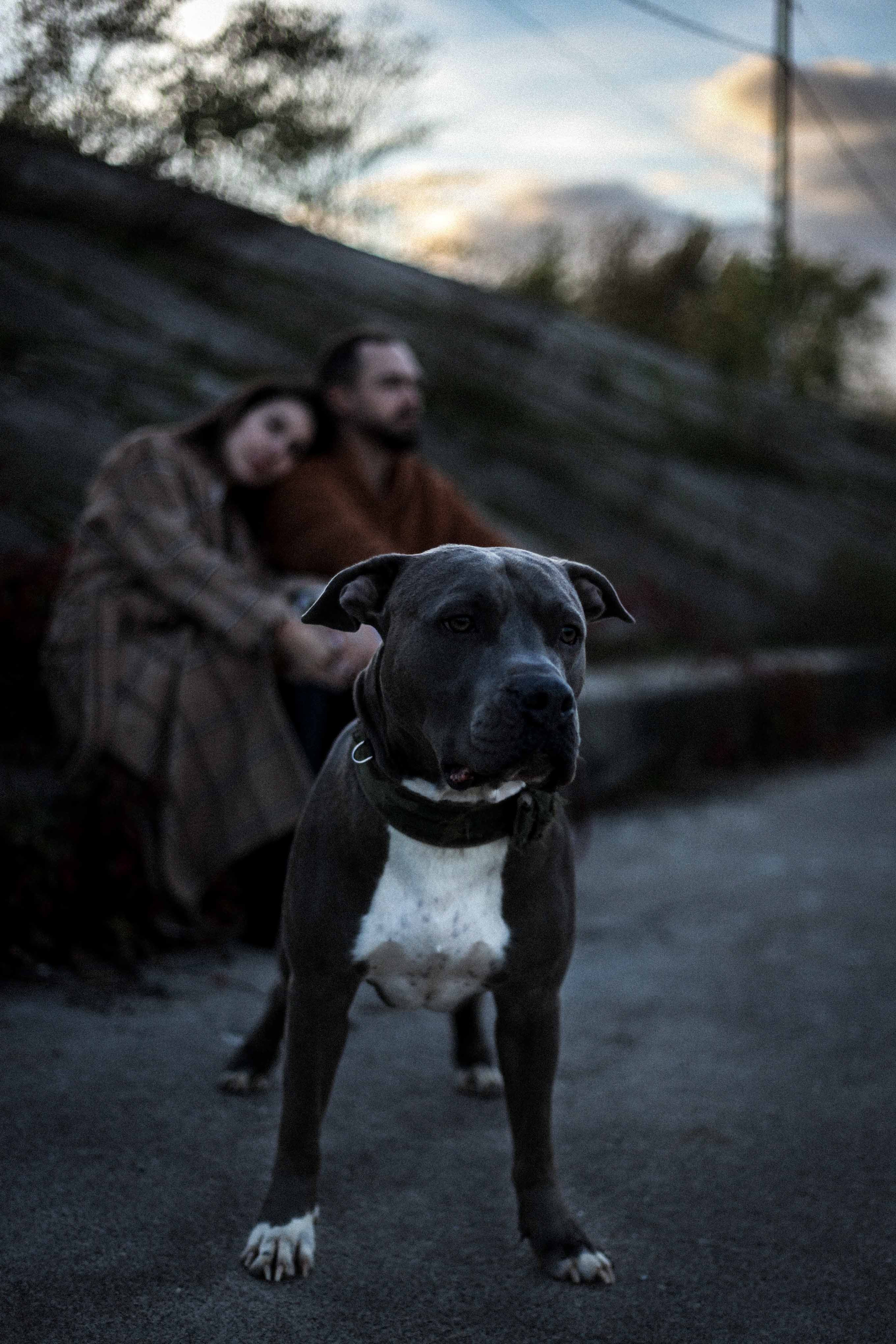 Егор и Настя. Женский портрет в Нижнем Новгороде Татьяна Малюгина