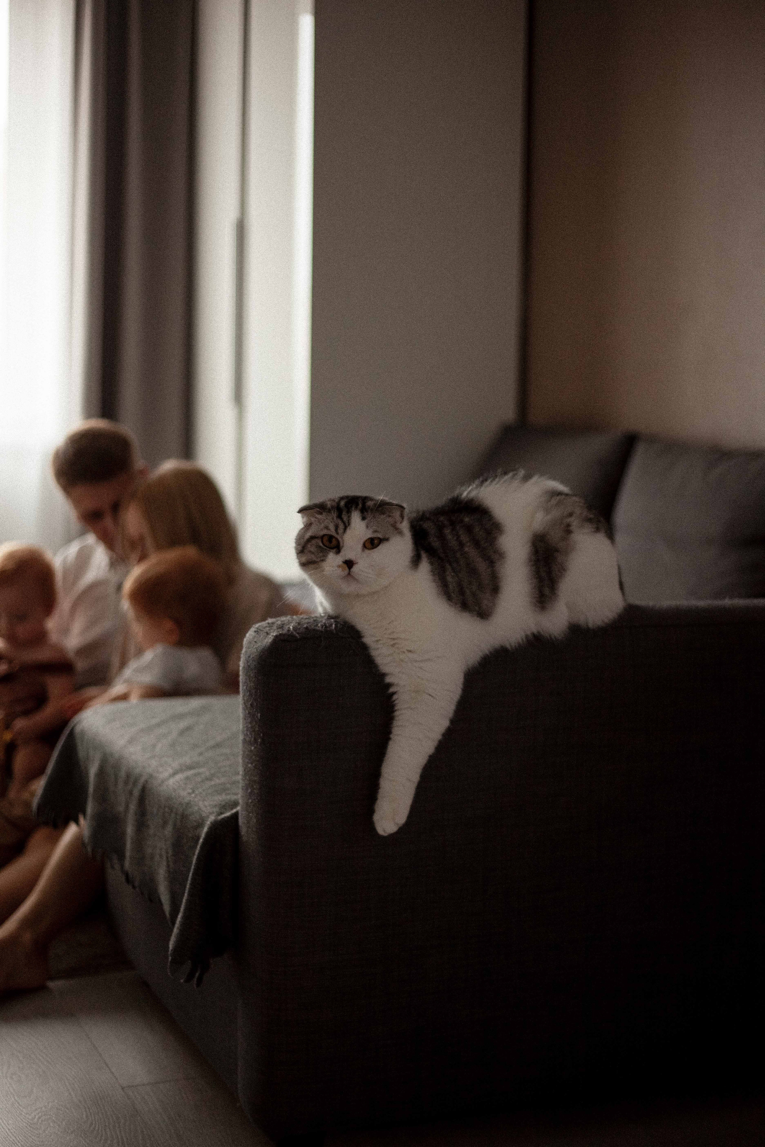 Наташа с семьей. Женский портрет в Нижнем Новгороде Татьяна Малюгина
