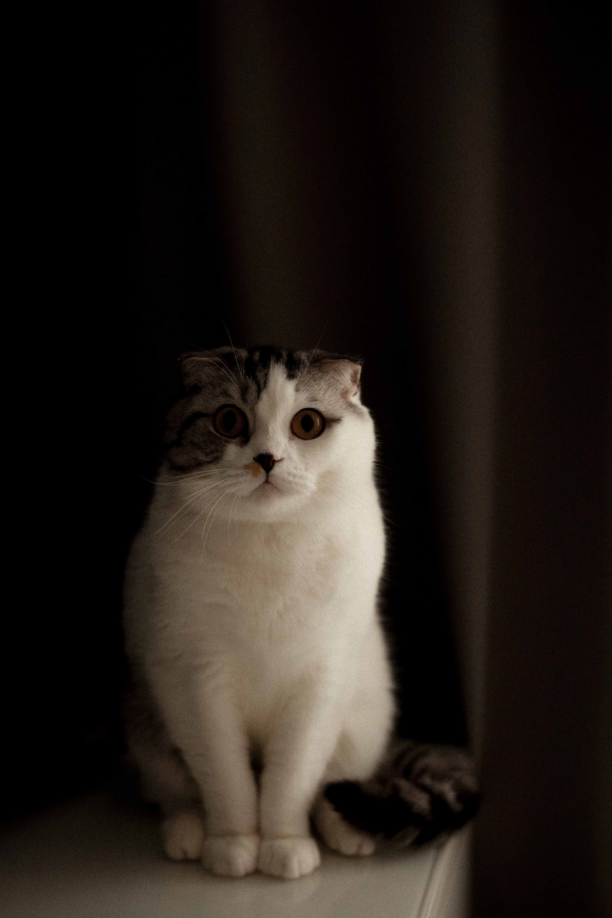 Наташа с семьей. Женский портрет в Нижнем Новгороде Татьяна Малюгина