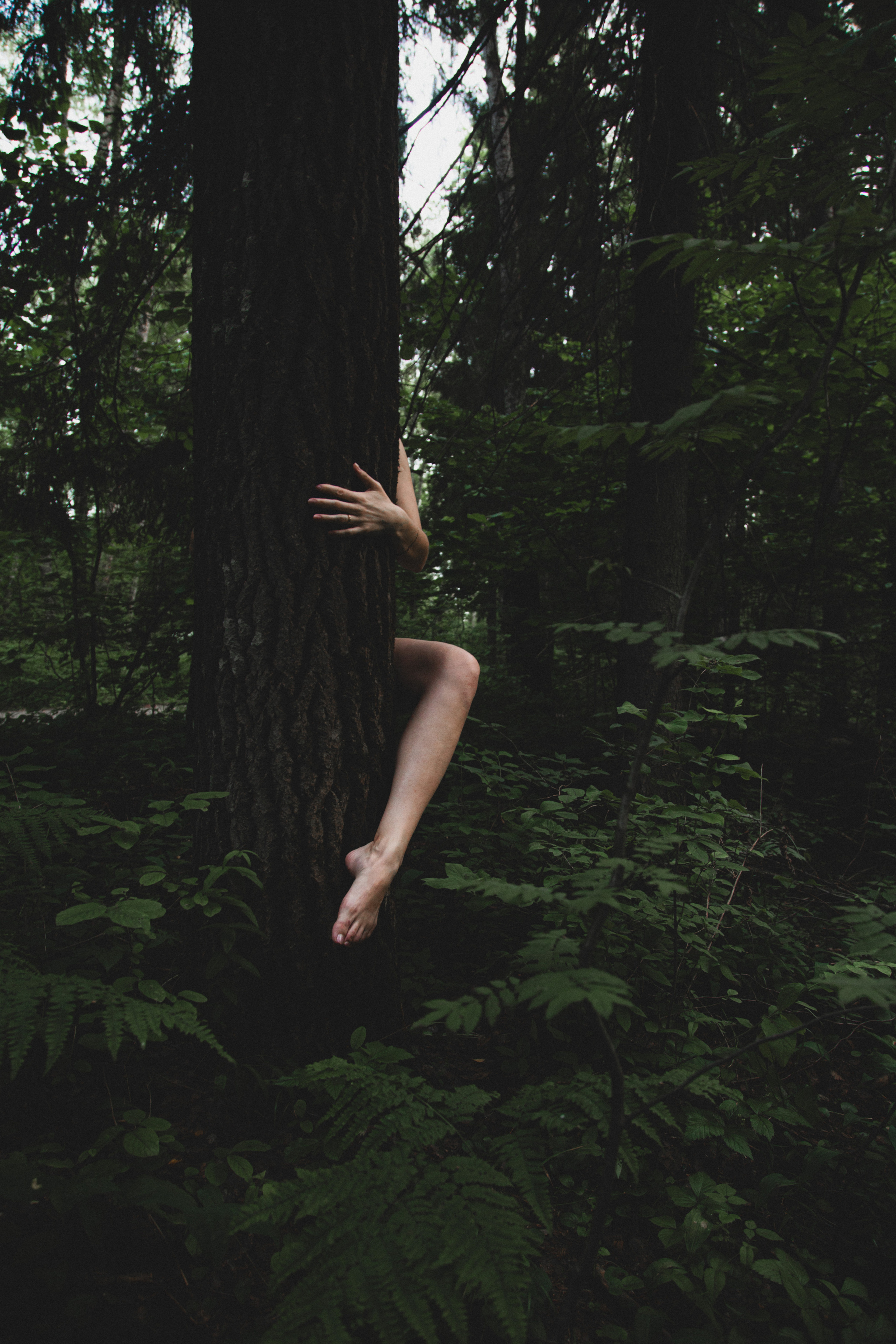 Лесная нимфа. Женский портрет в Нижнем Новгороде Татьяна Малюгина