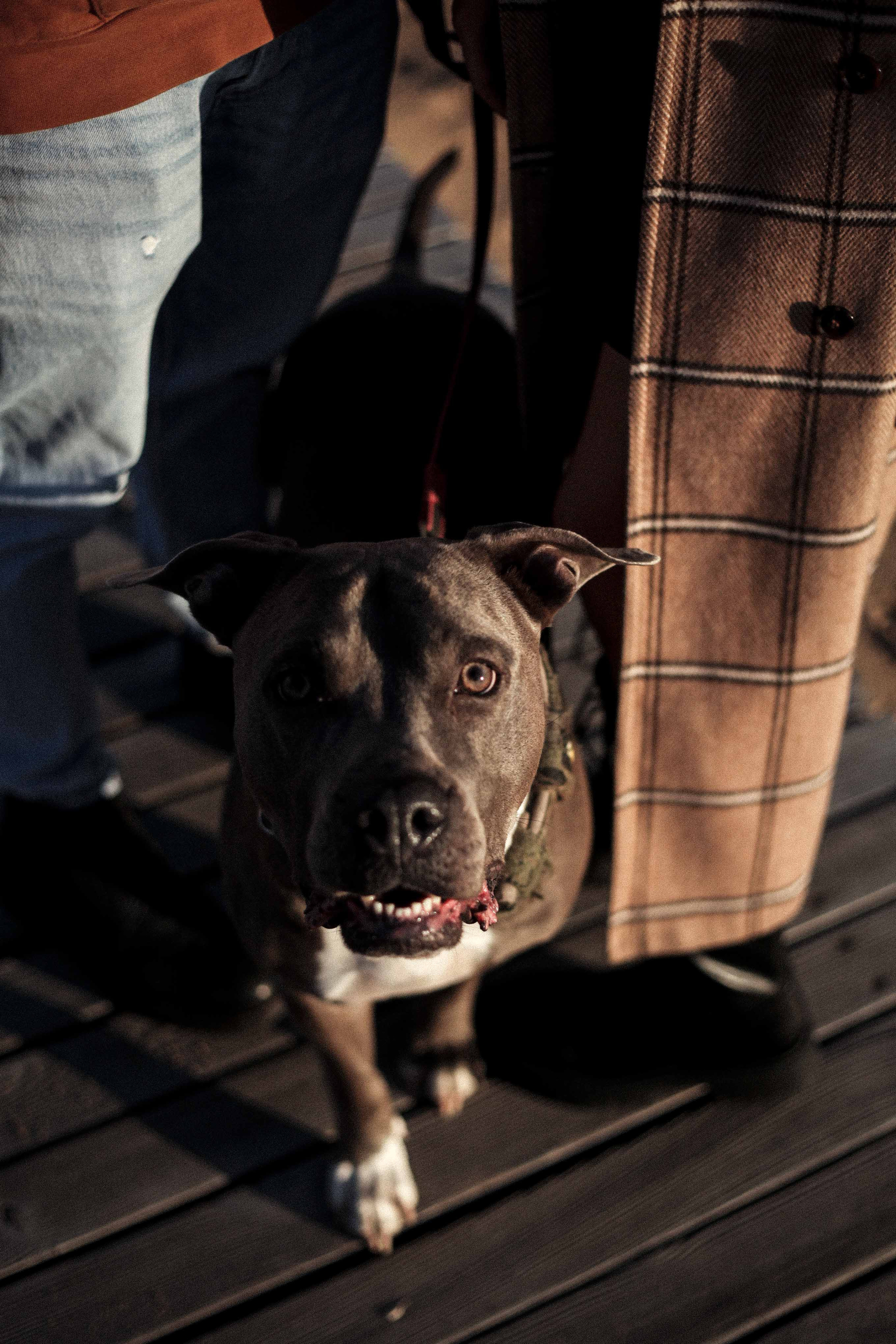 Егор и Настя. Женский портрет в Нижнем Новгороде Татьяна Малюгина