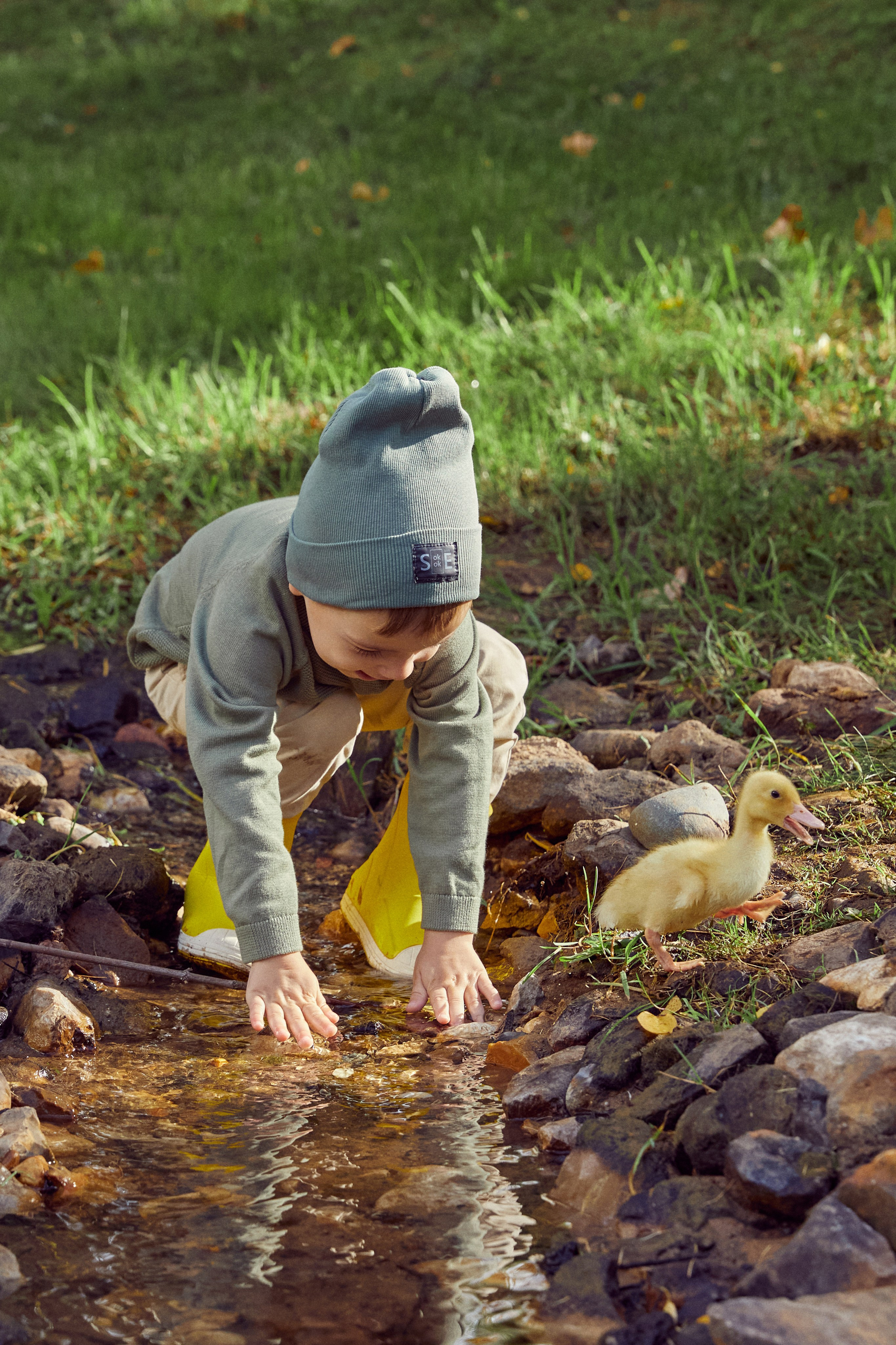 Фотодень с утятами (пруд). Фотограф