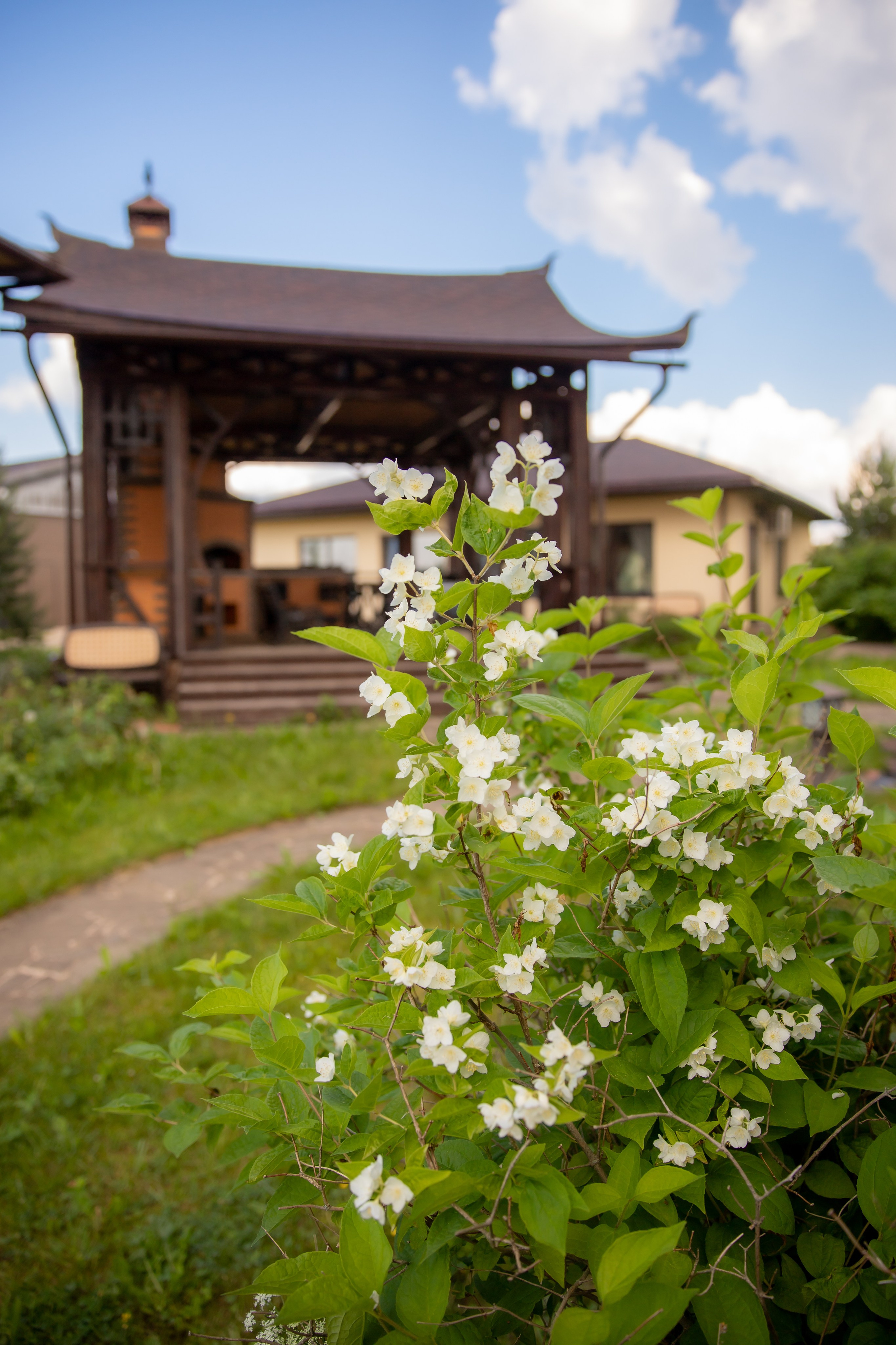 База отдыха в Тверской области. Территория. Фотограф недвижимости и контент-съемки в СПб