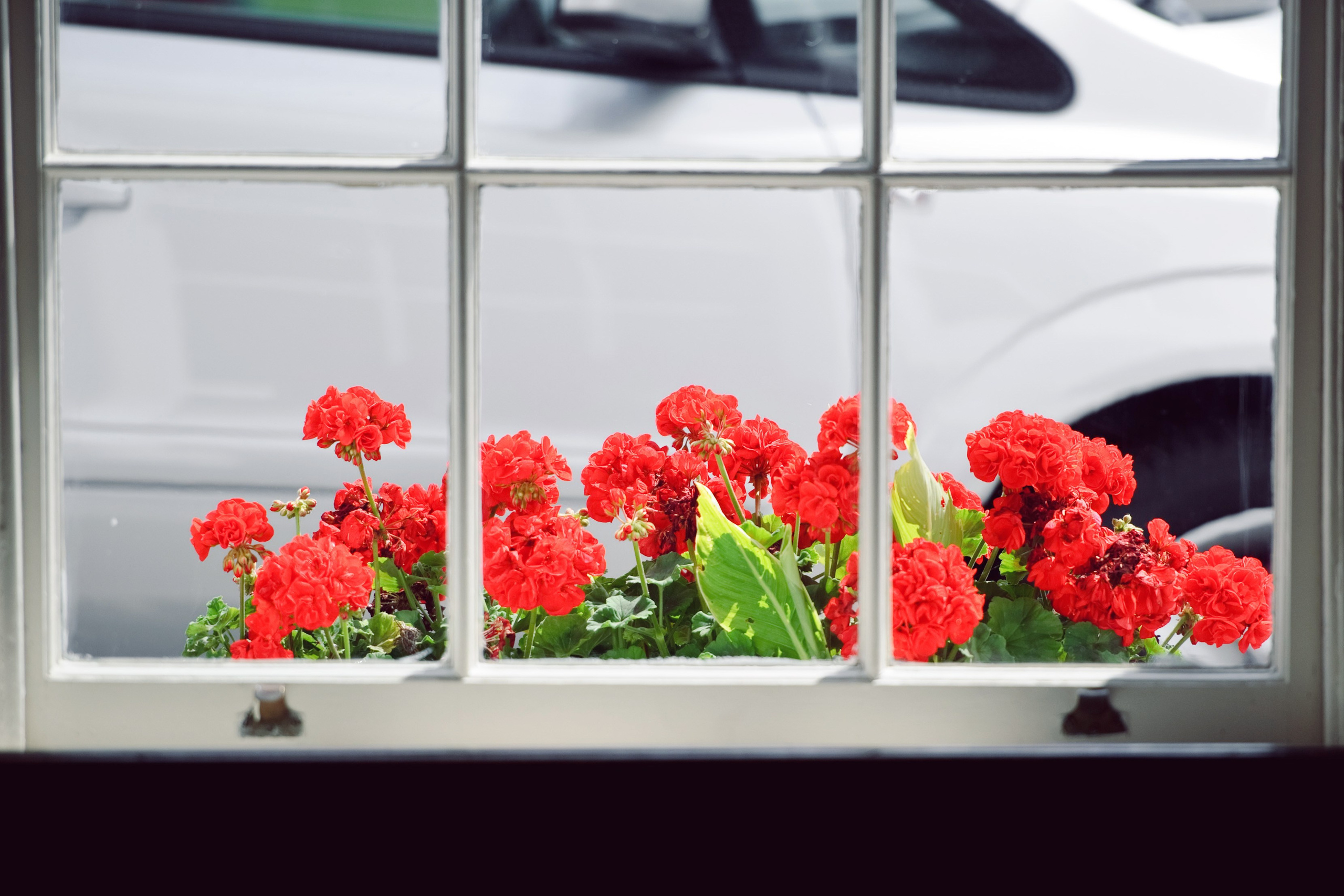 Анна и Дэвид. Свадьба, Великобритания. Семейный фотограф Анна Дубовская