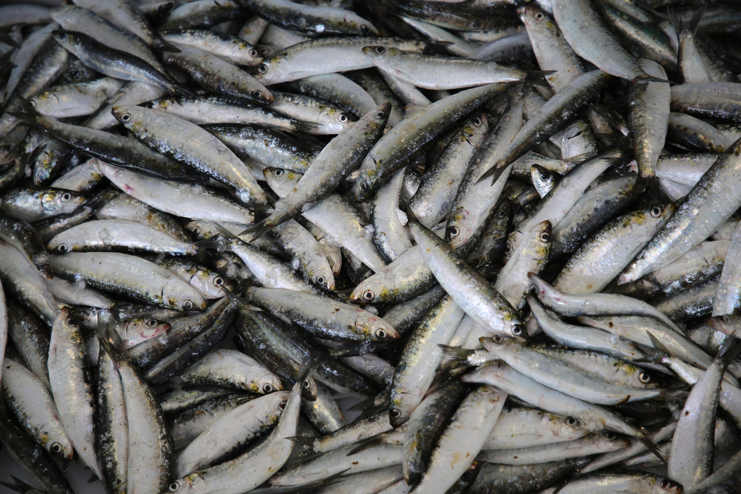 Espihnio, Portugal. Andrey Filippov Photographer