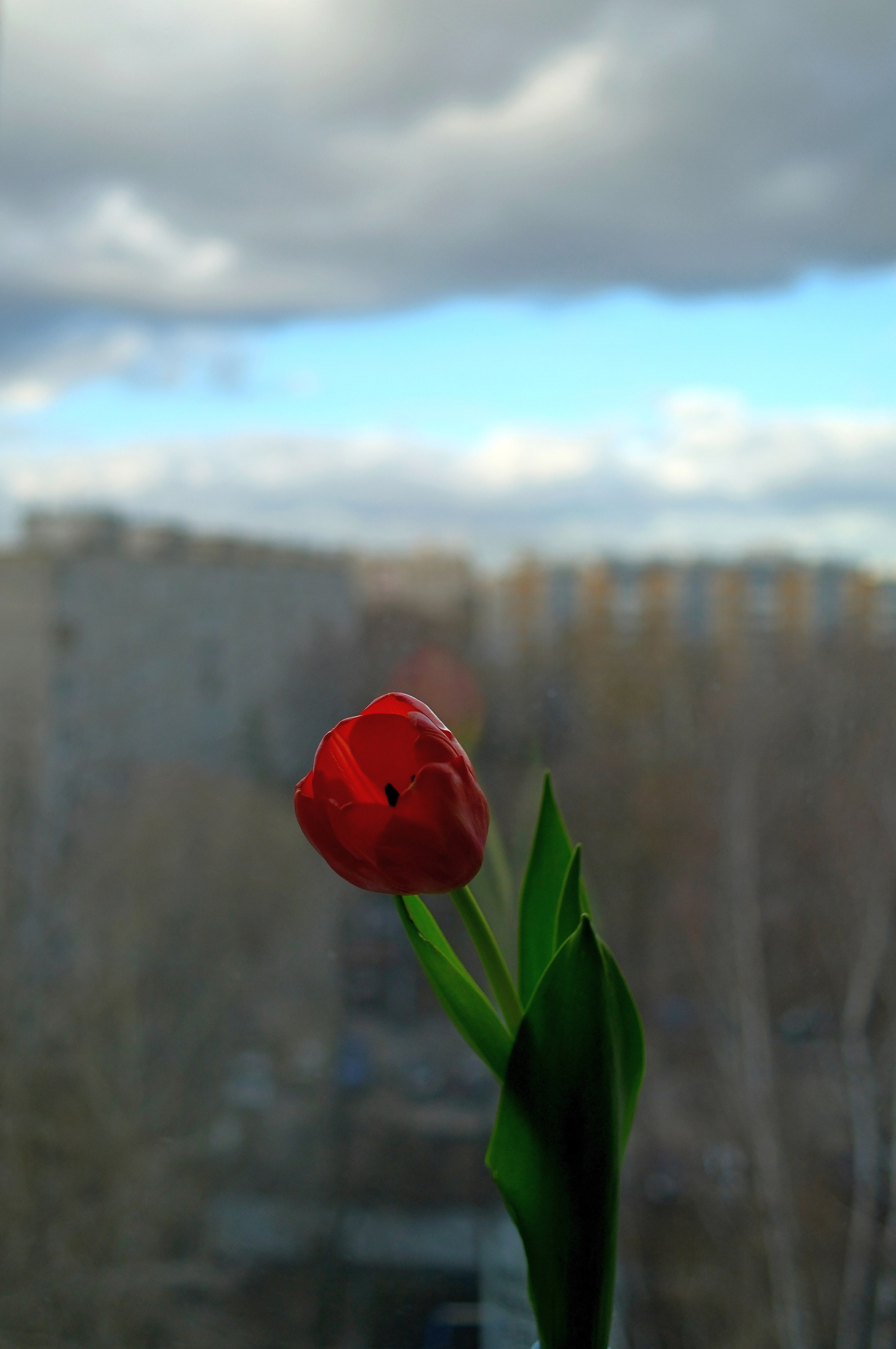 Улица, люди, жизнь…