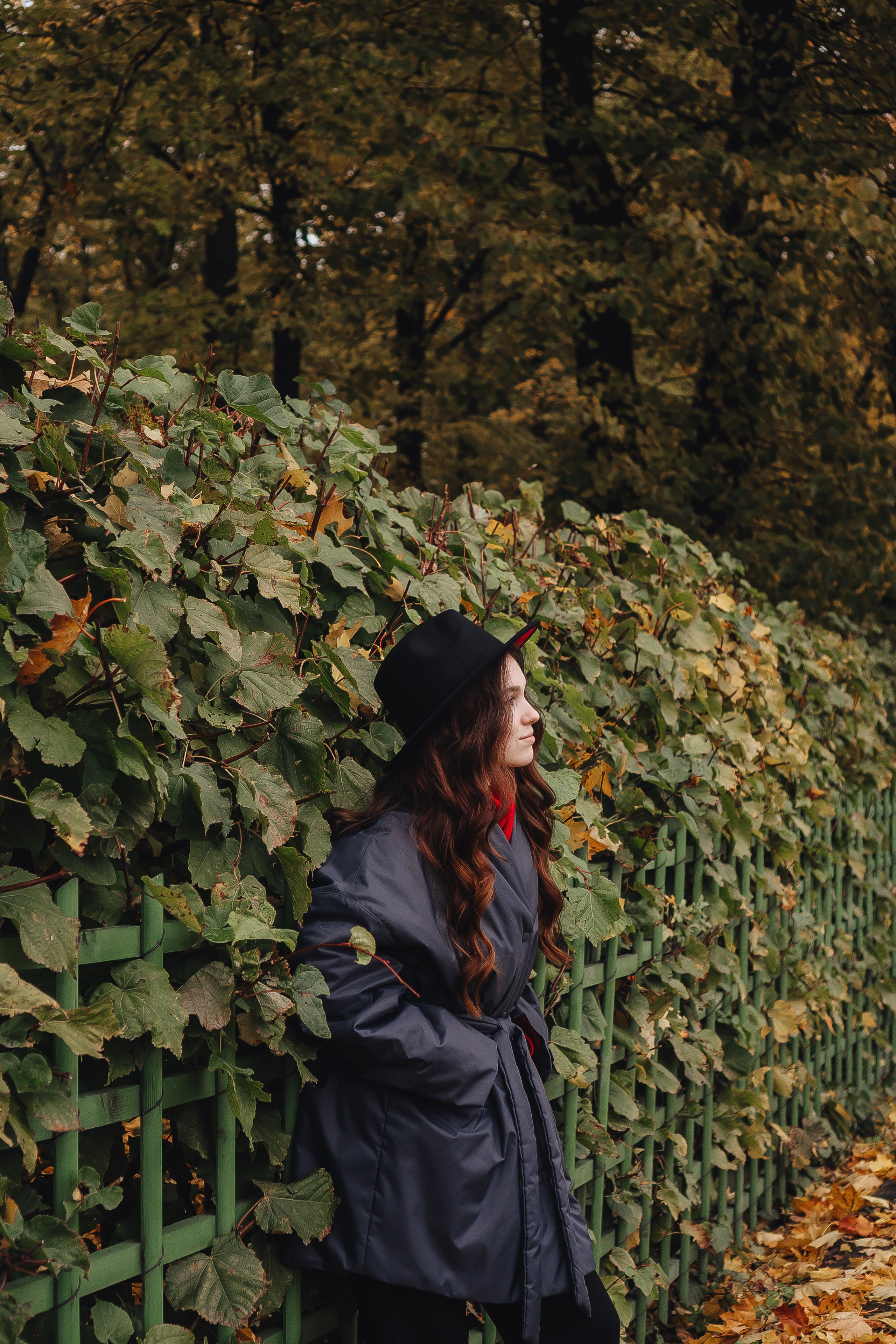 Осень. Профессиональный фотограф, Санкт-Петербург — Виктория Богомолова