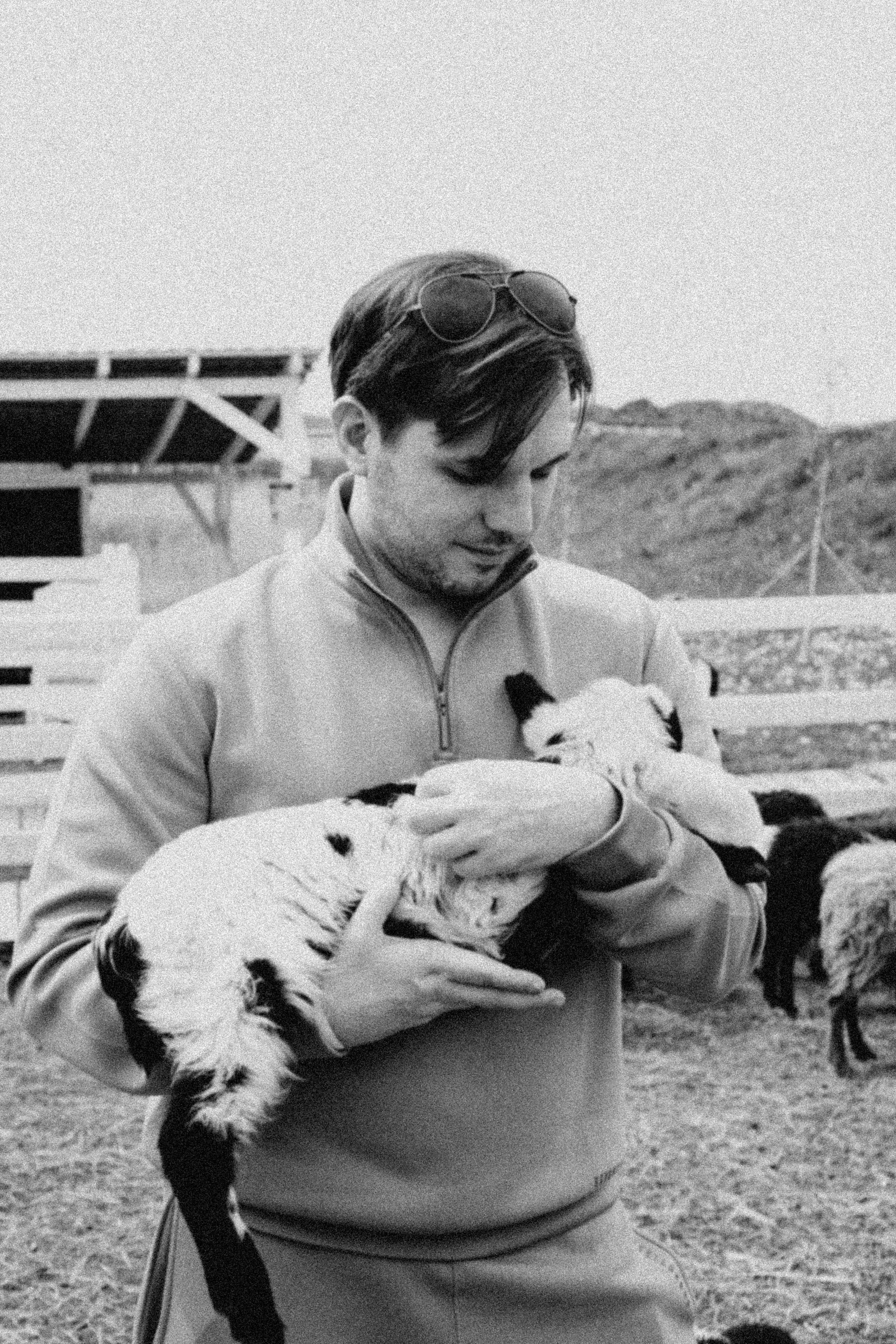 Ферма Альпак. Профессиональный фотограф, Санкт-Петербург — Виктория Богомолова