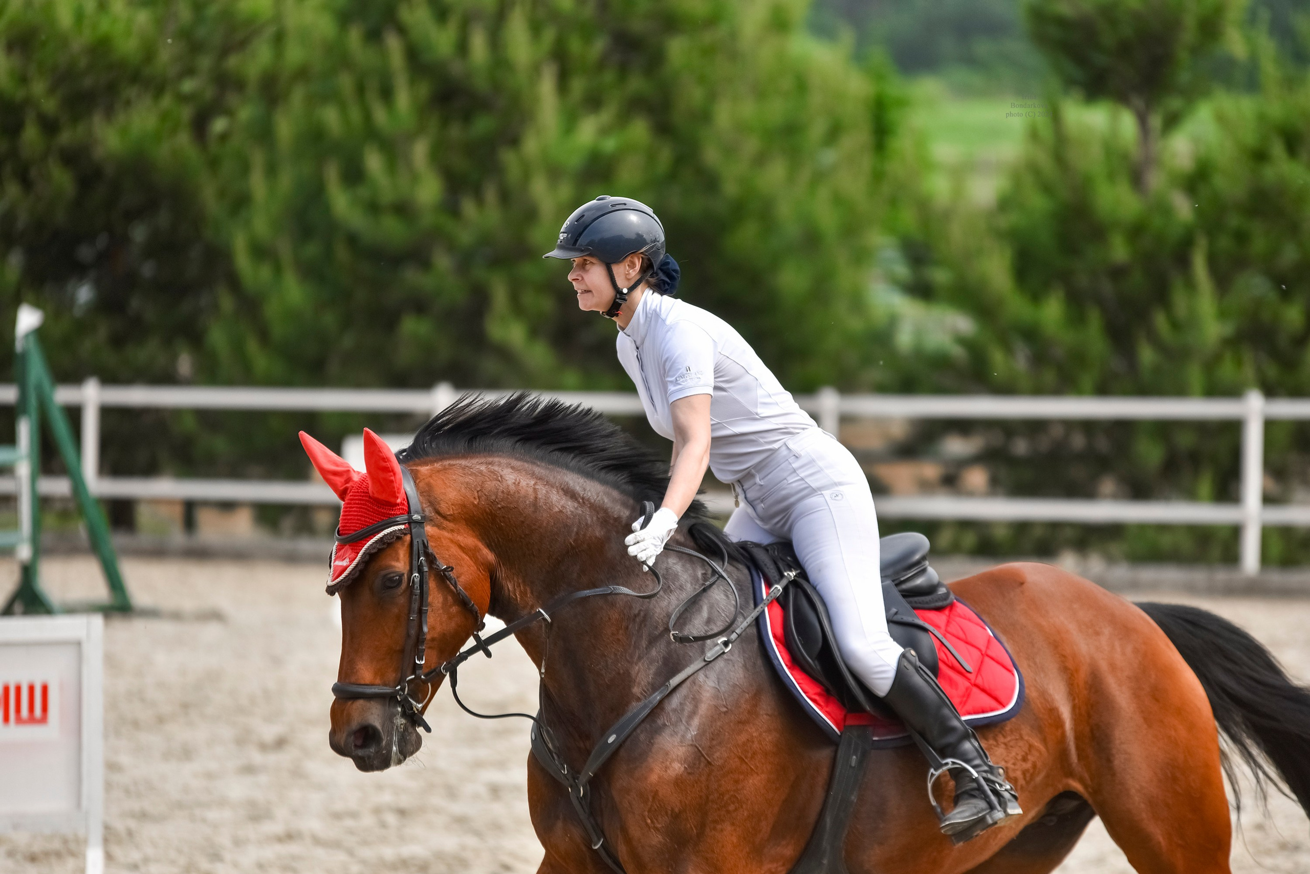 Репортажная съемка конных мероприятий. Конный фотограф из Москвы Ирина Бондаркова