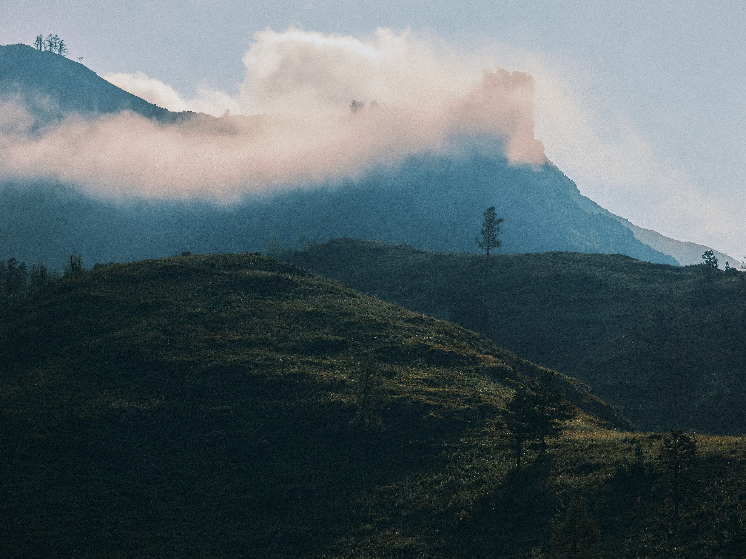 Поймать лето за хвост. Главная