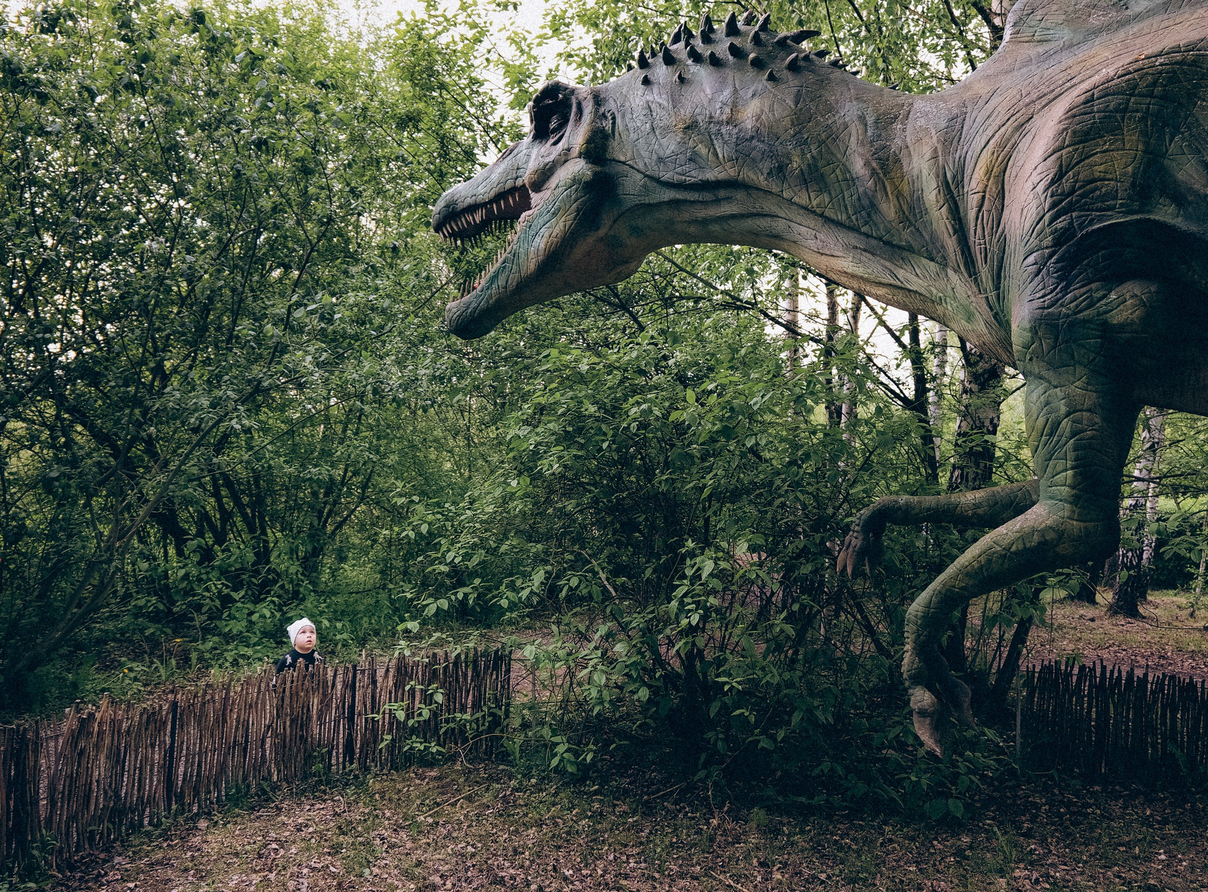 Семейная прогулка в Динопарке