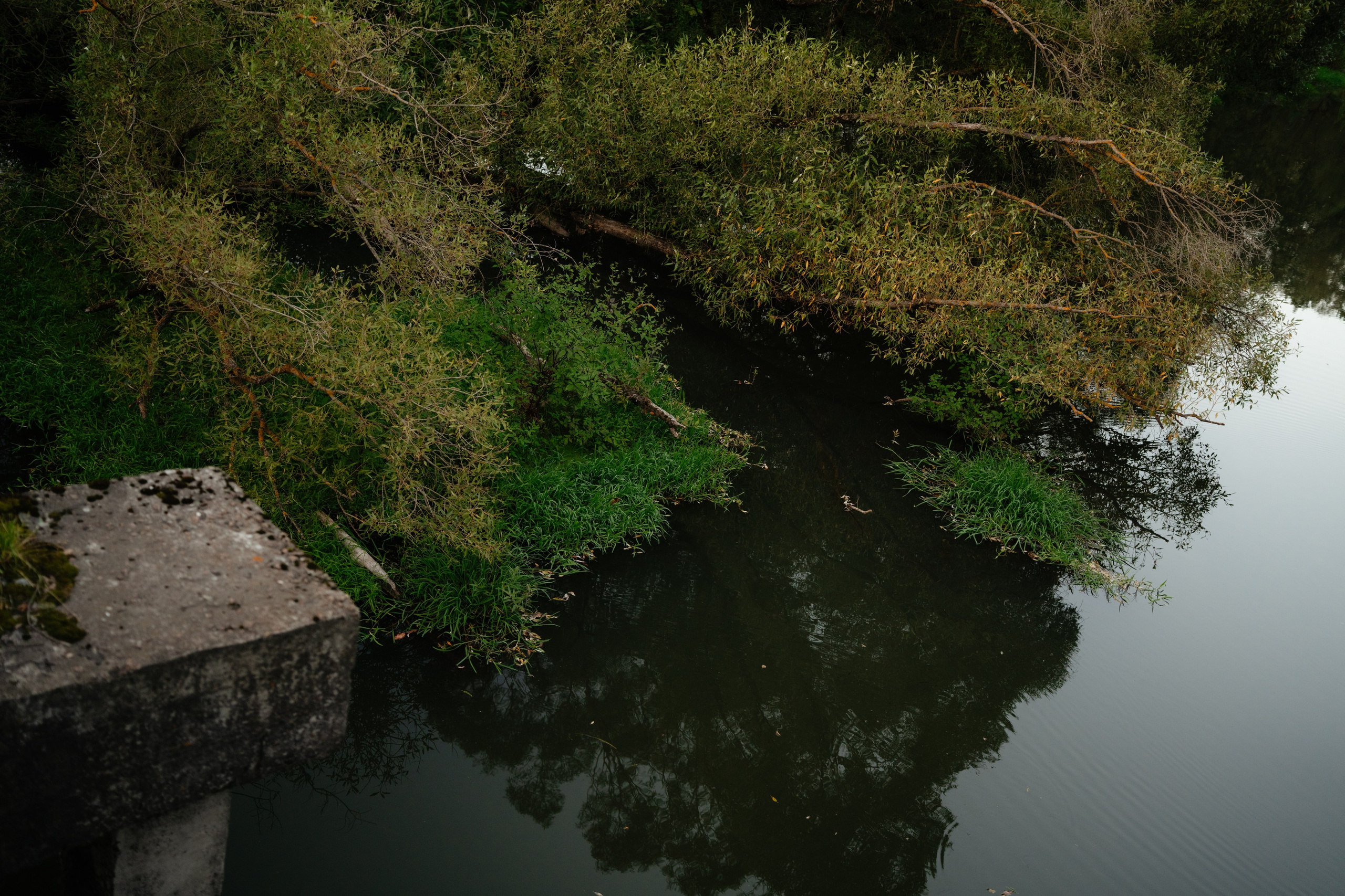 Дугна. Vlad Trykov