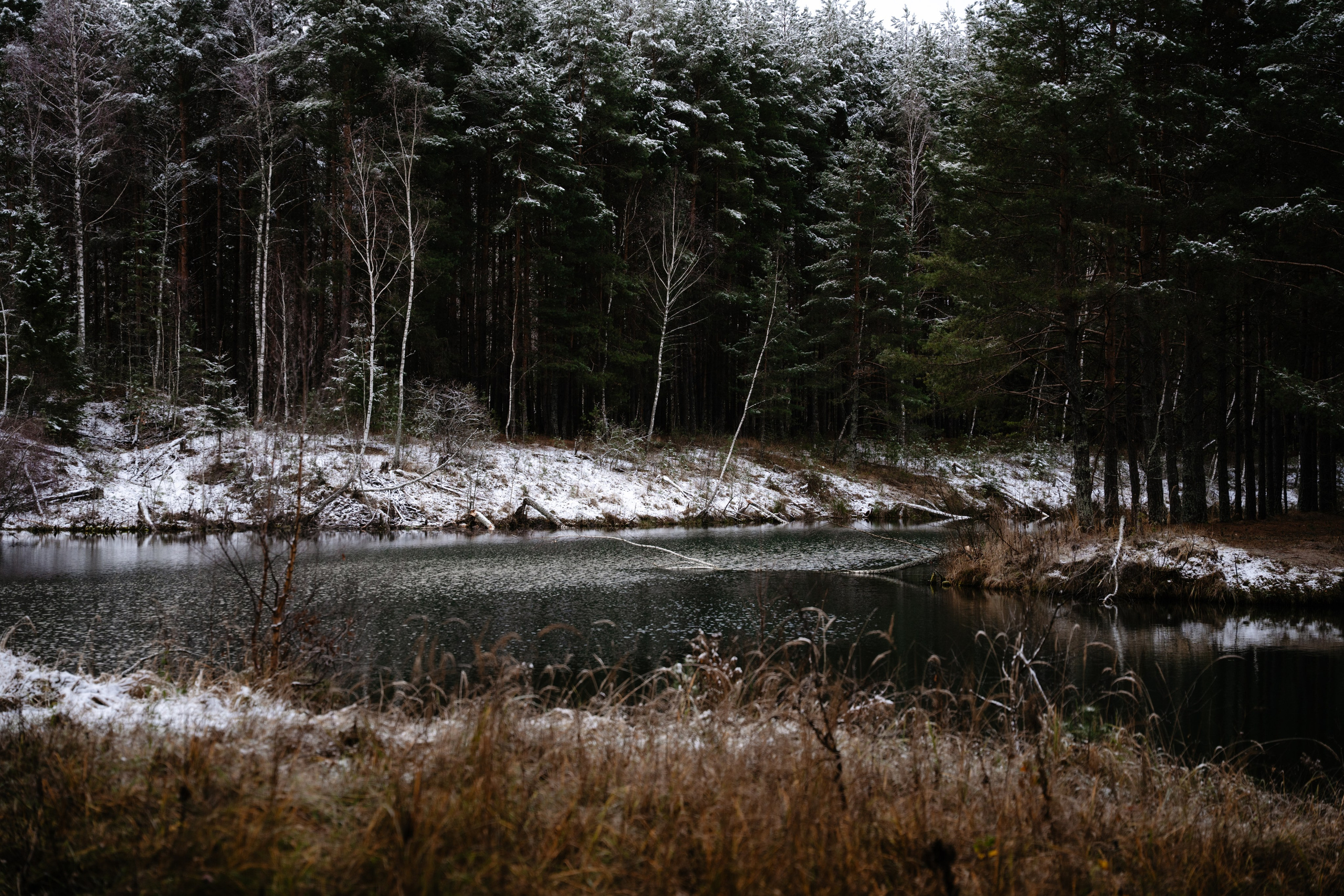 Суворовские карьеры. Vlad Trykov