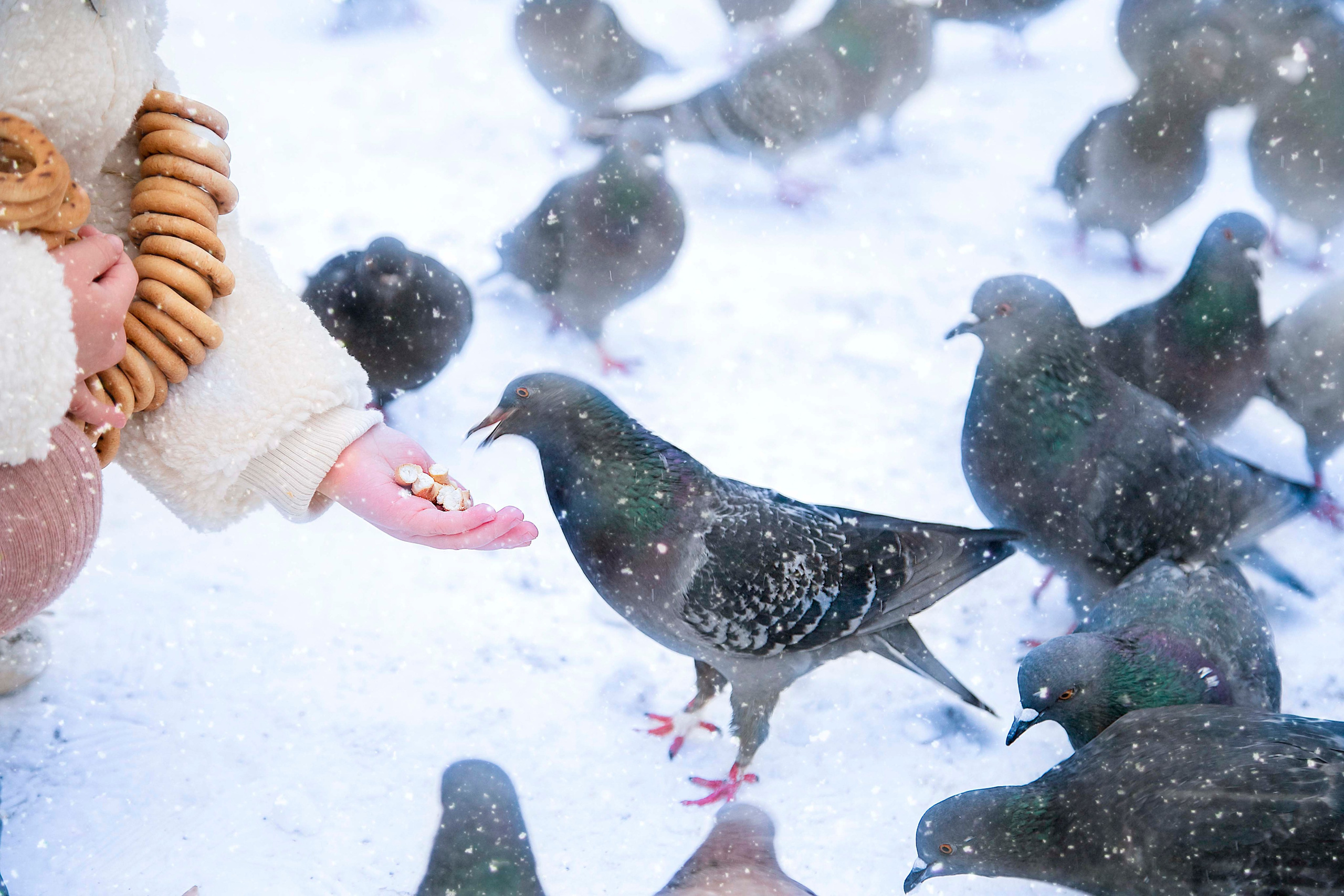 Ника. Семейный и детский фотограф в Санкт-Петербург. Natalia Fadel
