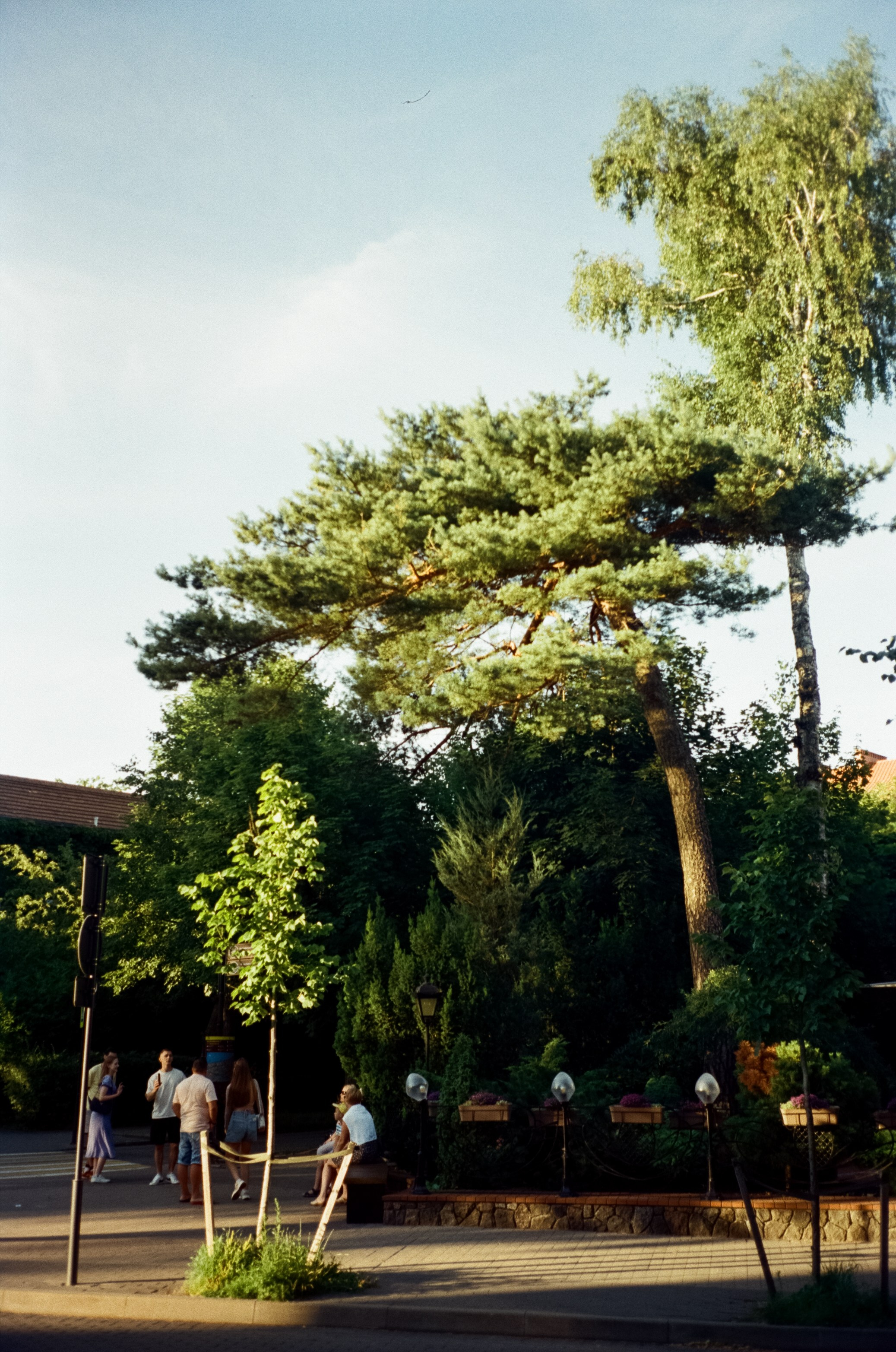 Вечерняя прогулка и закат в Светлогорске. Фотограф-документалист Мария Осокина