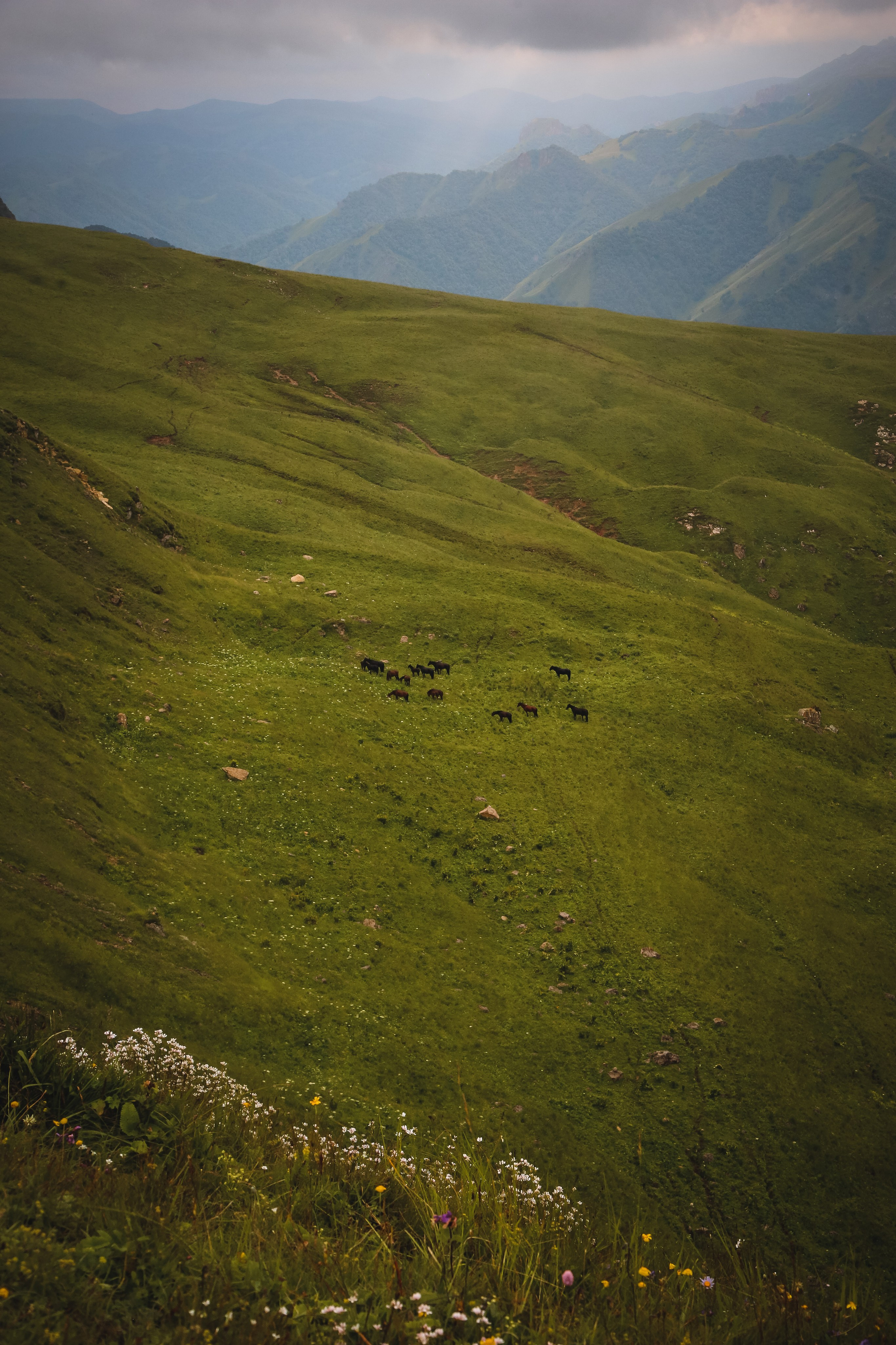 Кавказ: Беспощадный Бермамыт. Дарья Письменюк / Darya Leitstern — фотограф, музыкант, журналист, путешественник