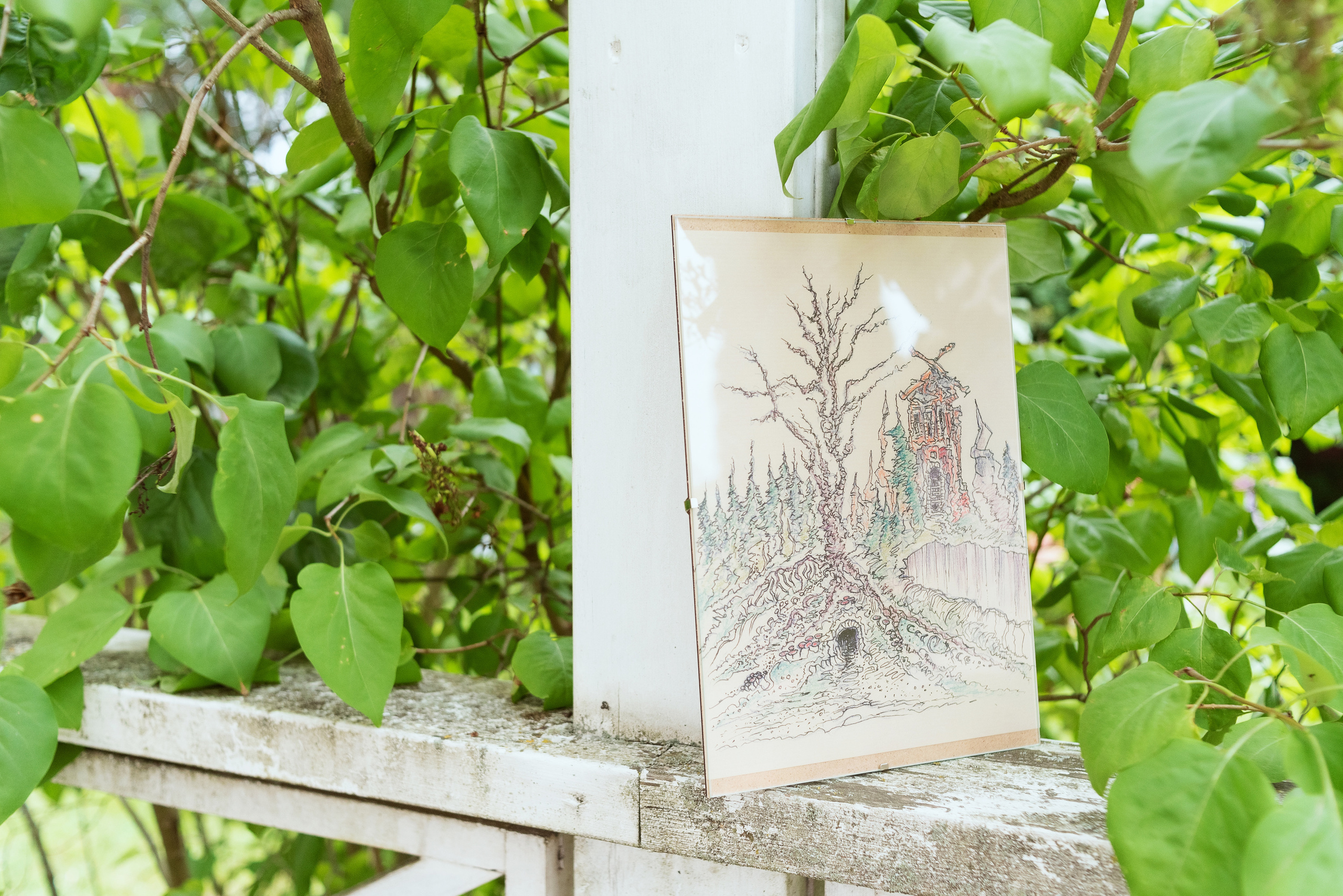 Репортажное портфолио. Фотограф в Москве