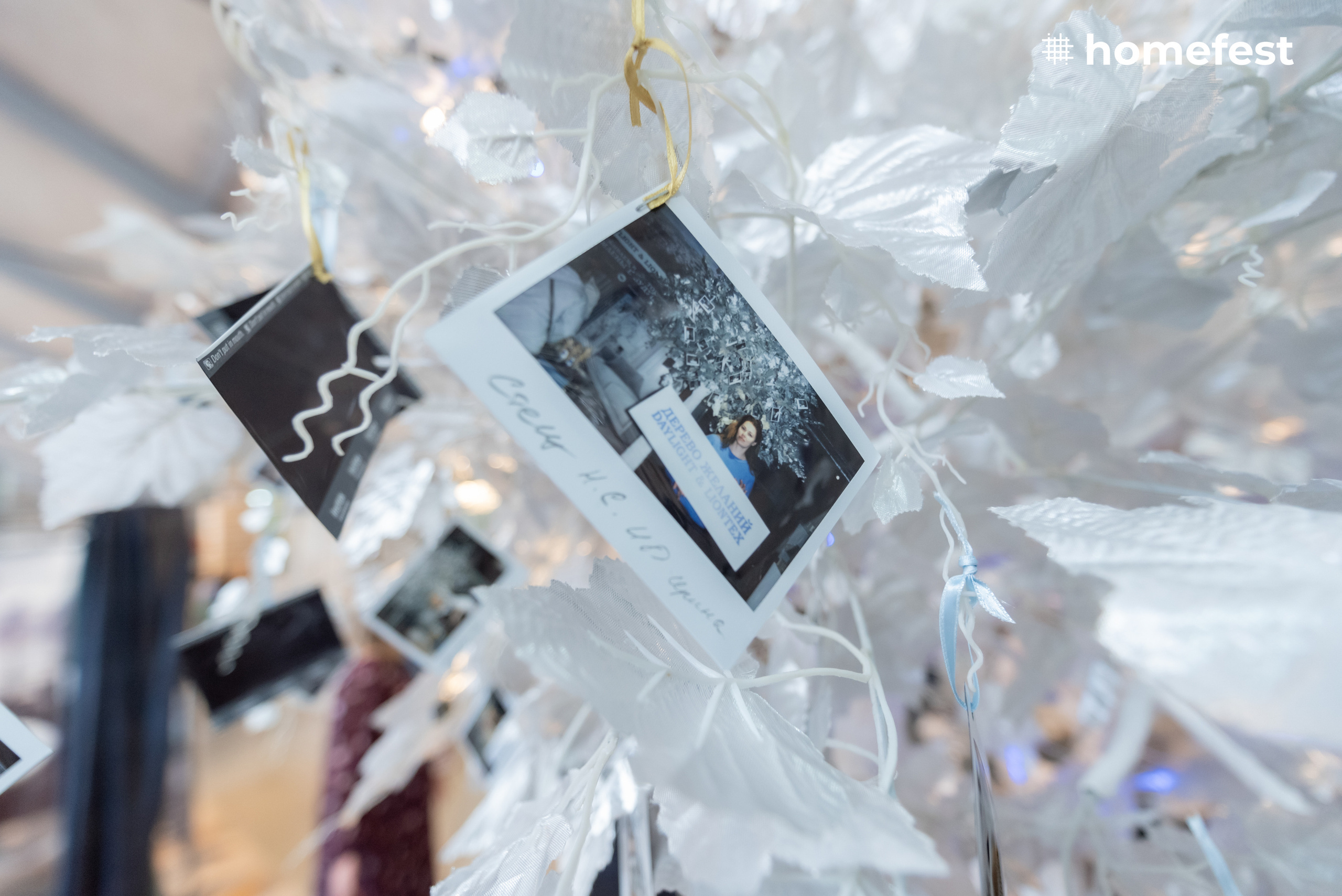 HomeFest 7. Фотограф в Москве