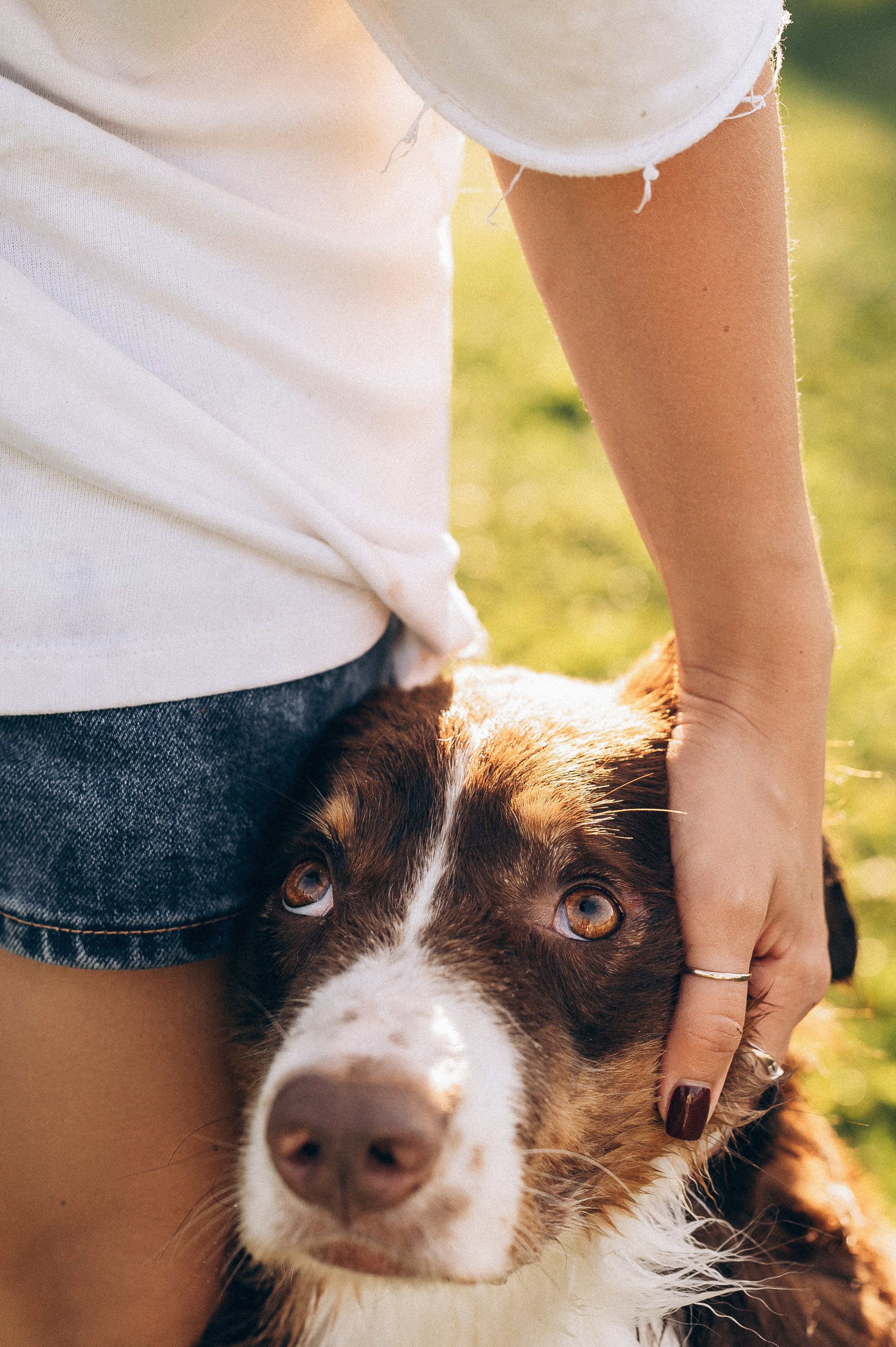 Настя и Оушен. Семейный и свадебный фотограф в Красноярске Садкеева Юлия