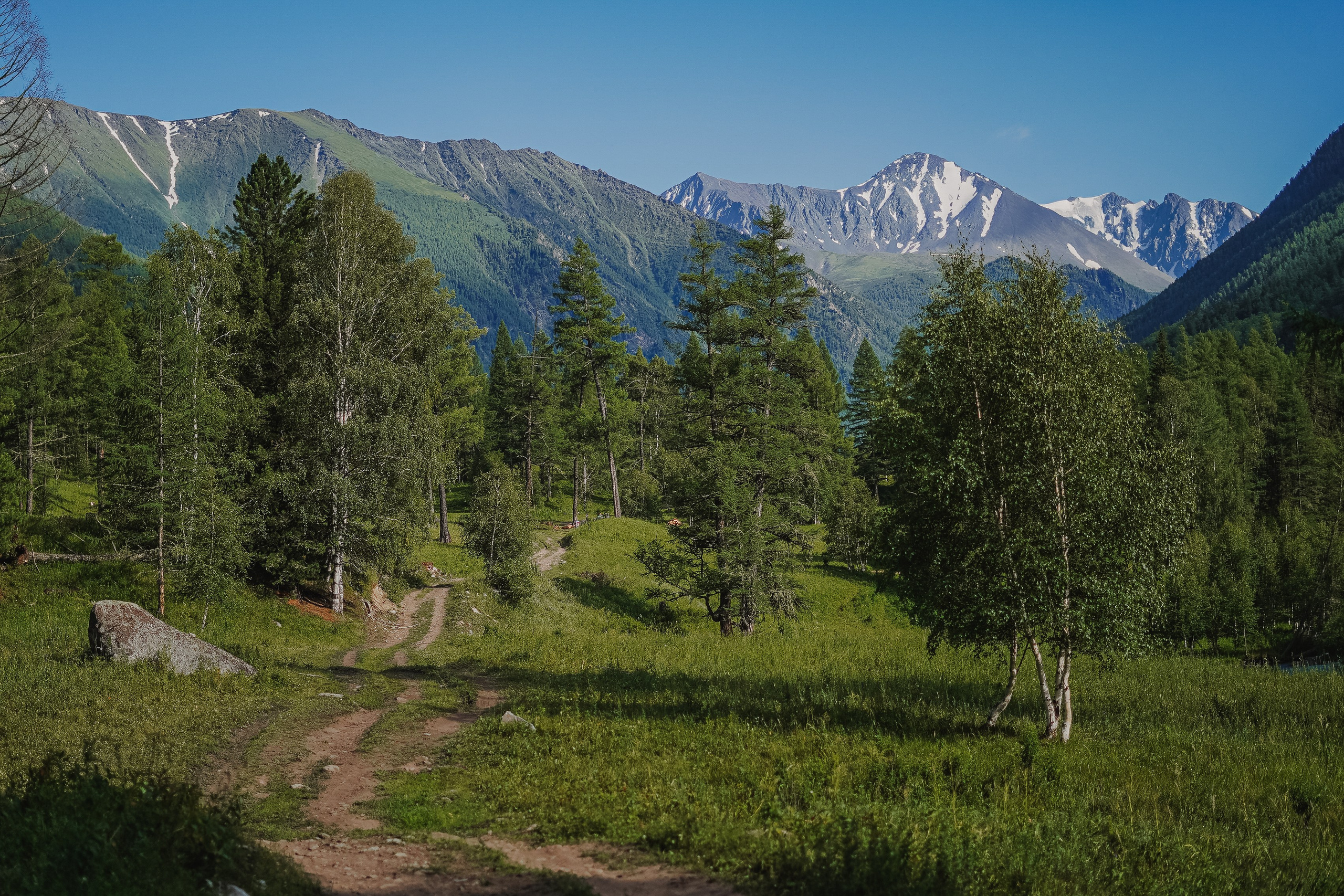Алтай, поход к Белухе 2023. Фотограф Ольга Пучкова