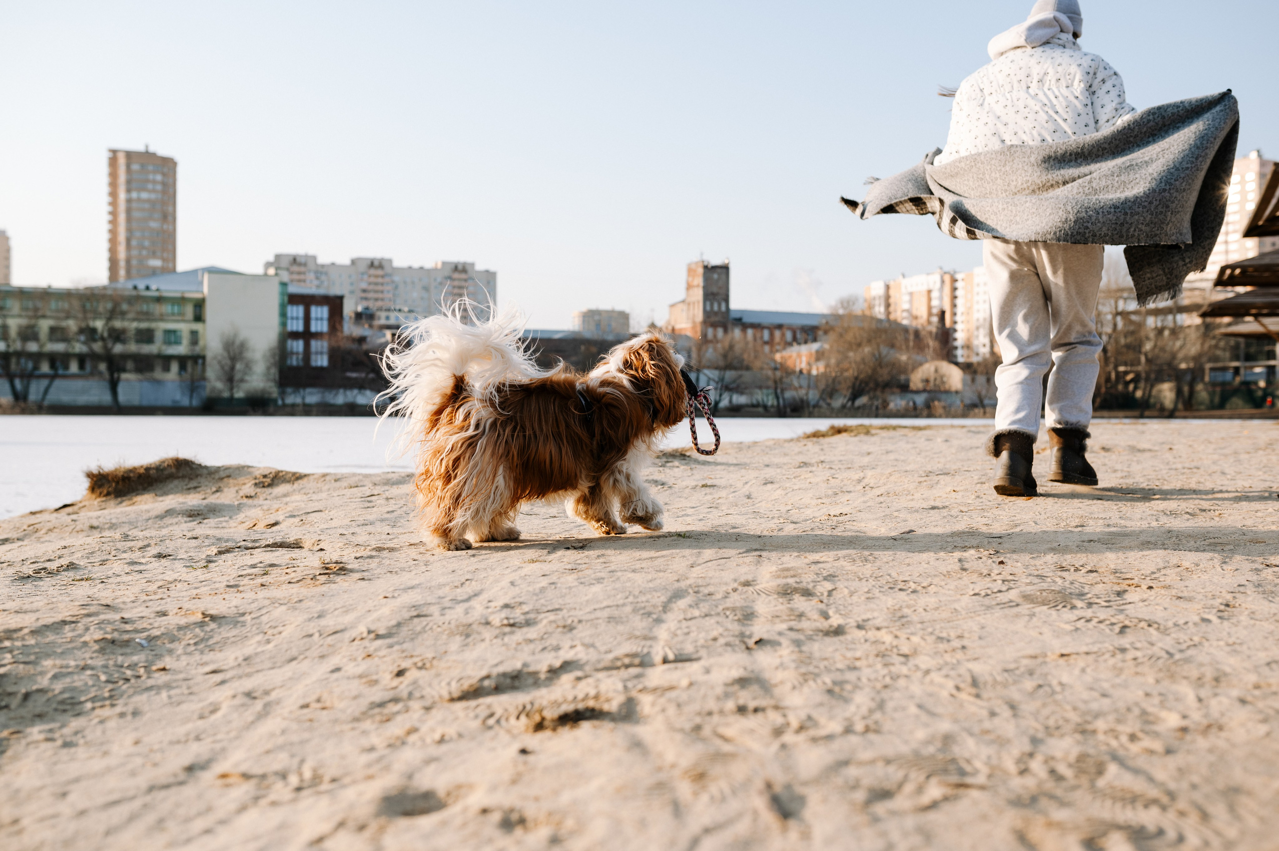 Лена и Арчи. Фотограф анималист в Москве Ольга Агушева