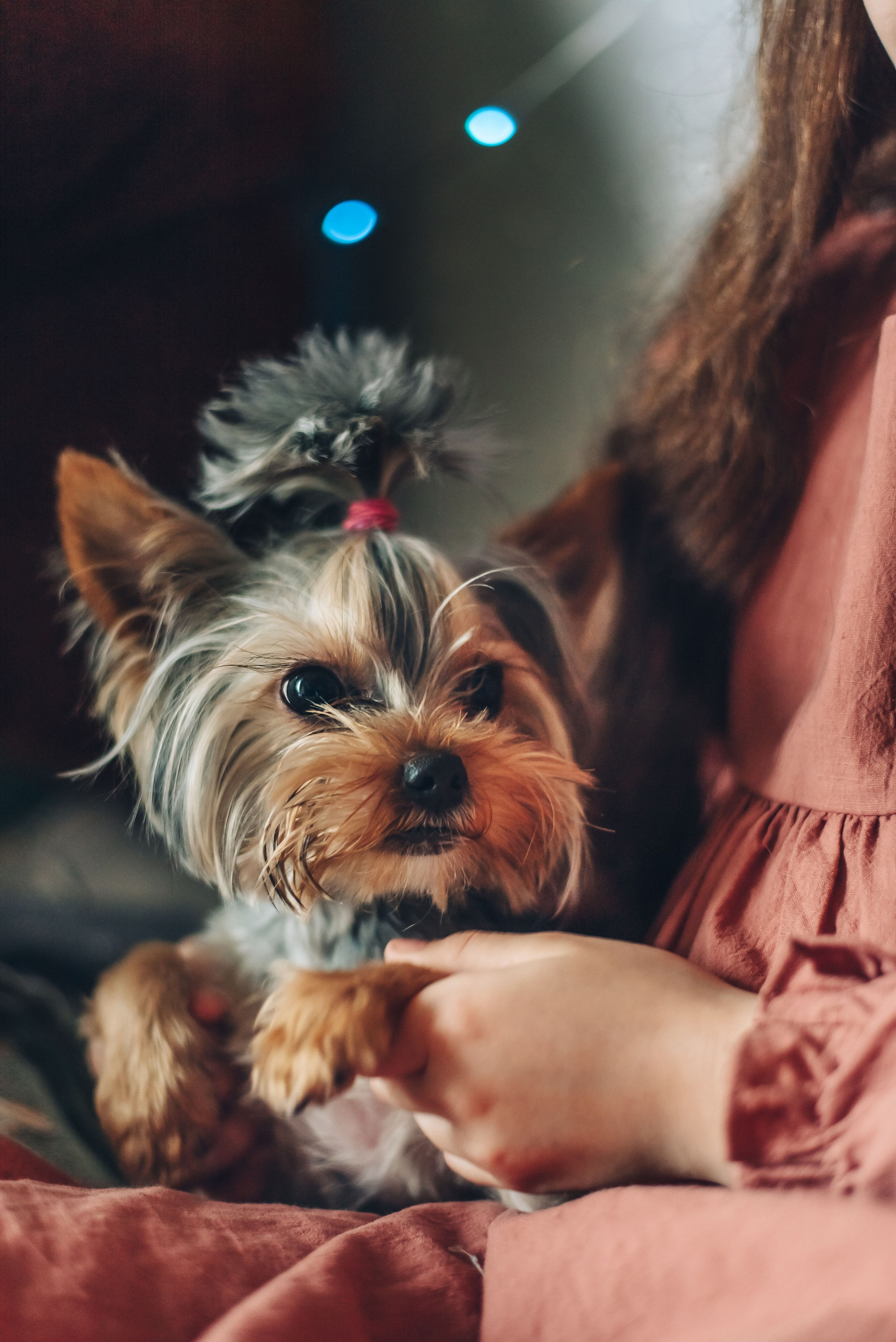 Домашняя lifestyle съемка. Свадебный и портретный фотограф lifestyle